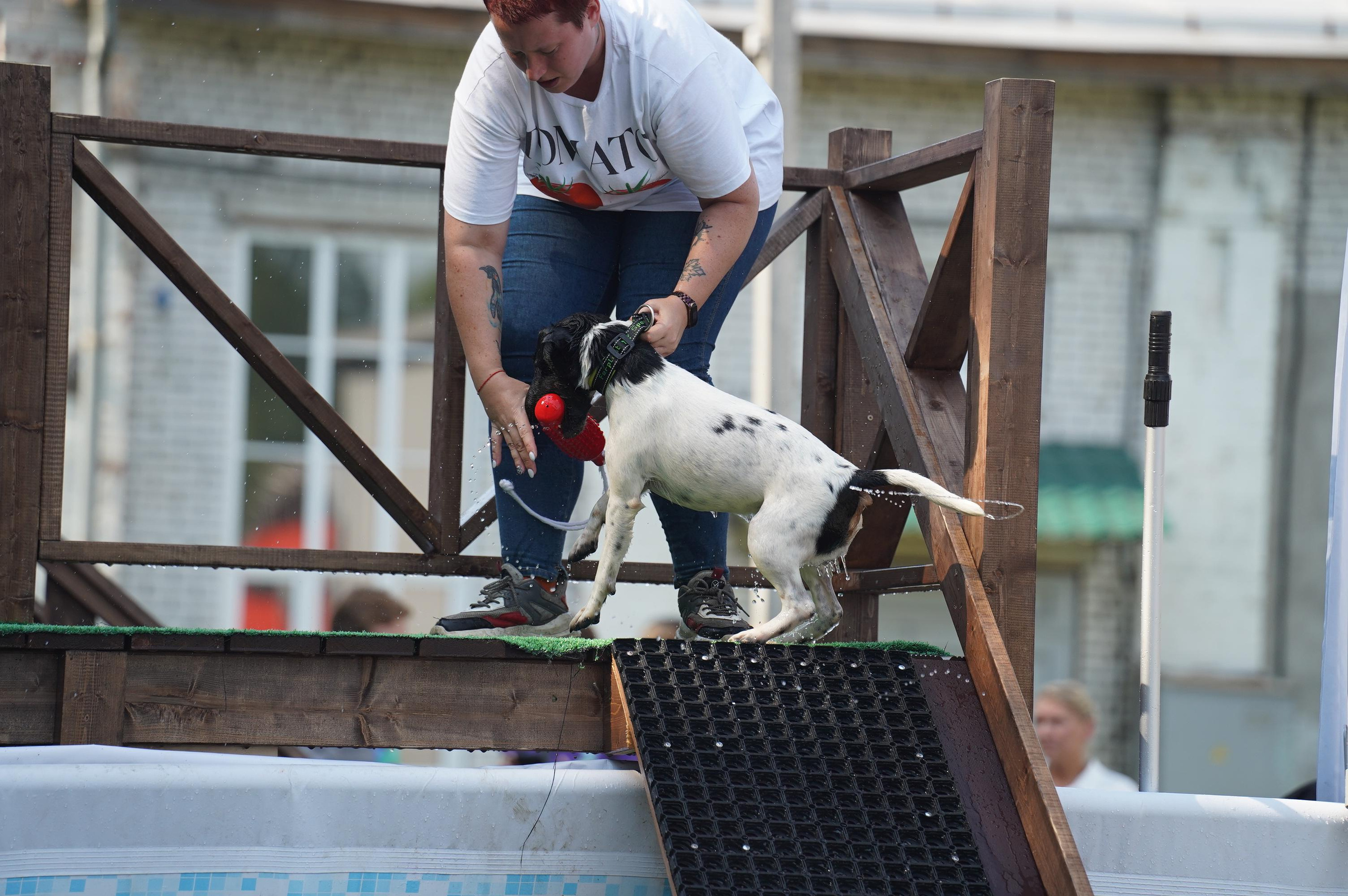 Петшопдей. Фотограф анималист