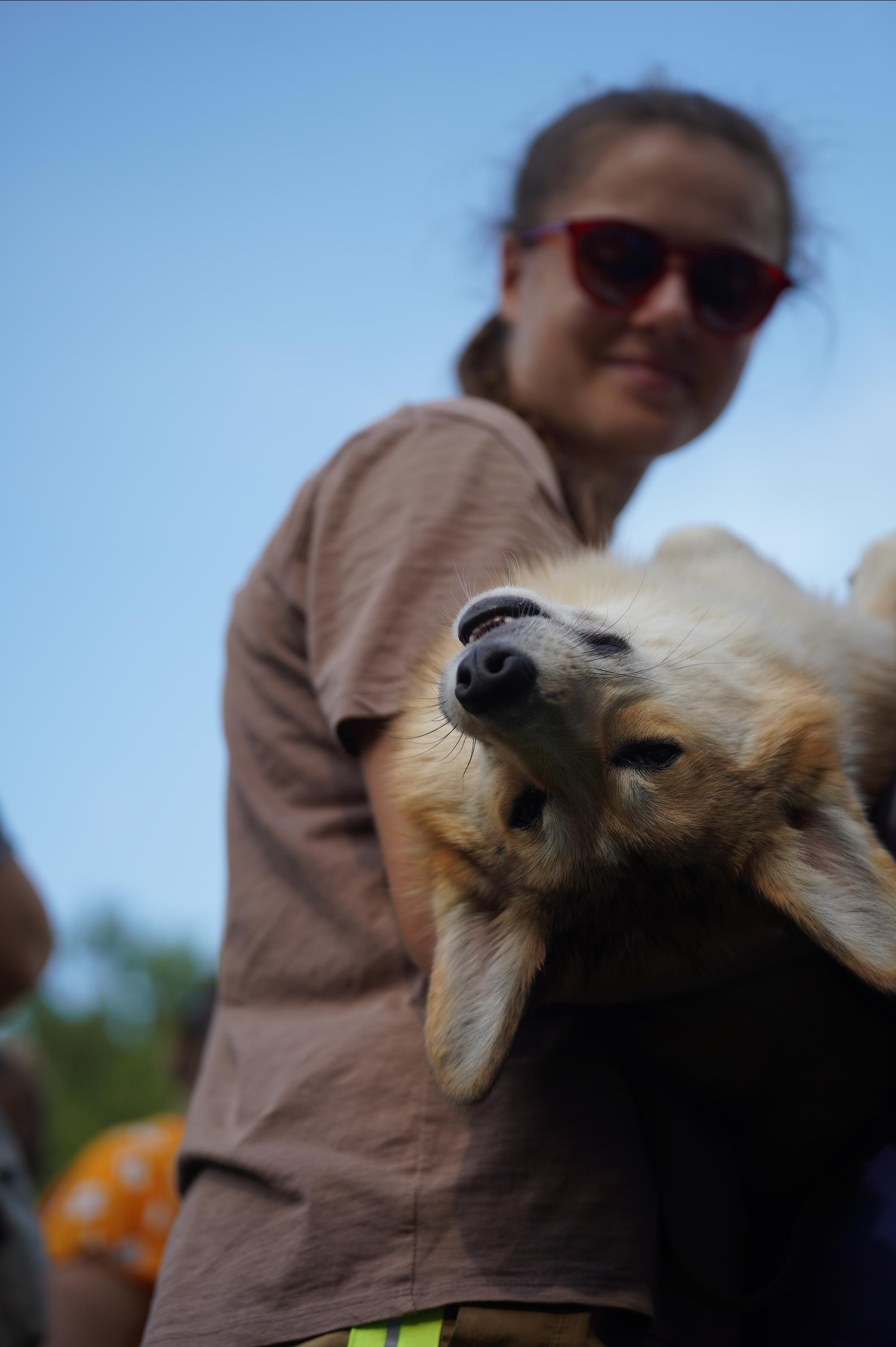 Петшопдей. Фотограф анималист