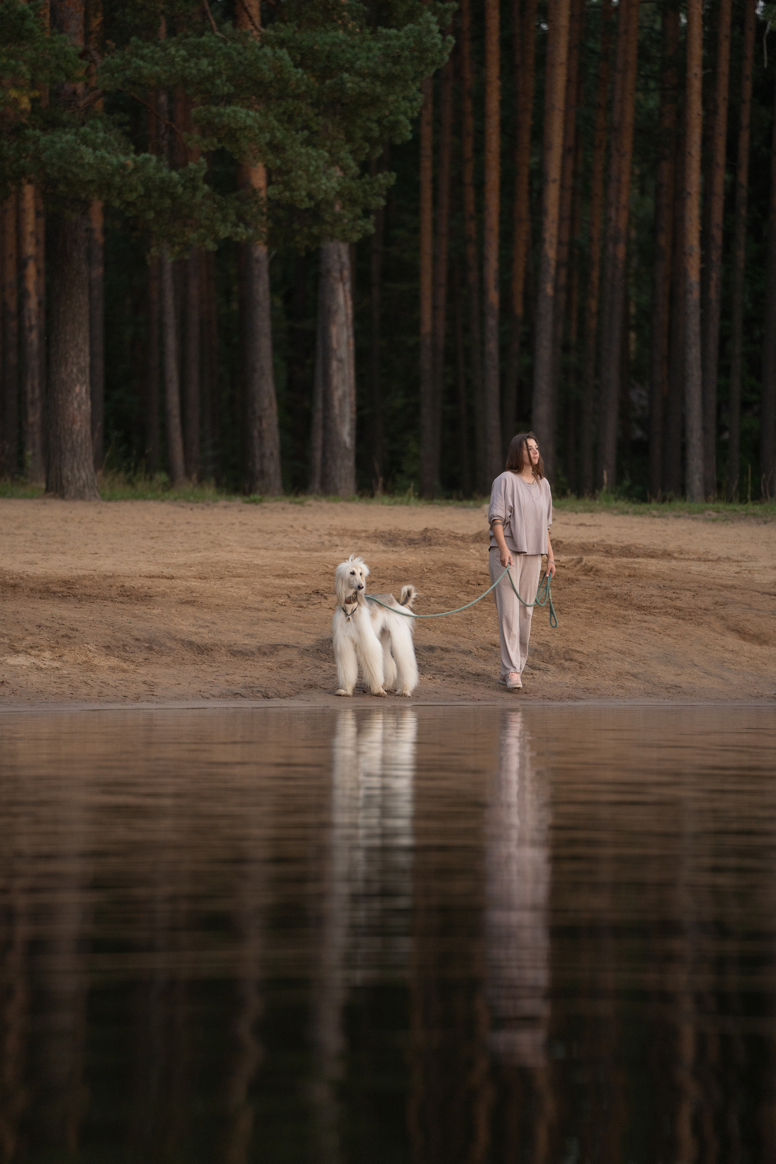 Путь к лесу. Фотограф анималист
