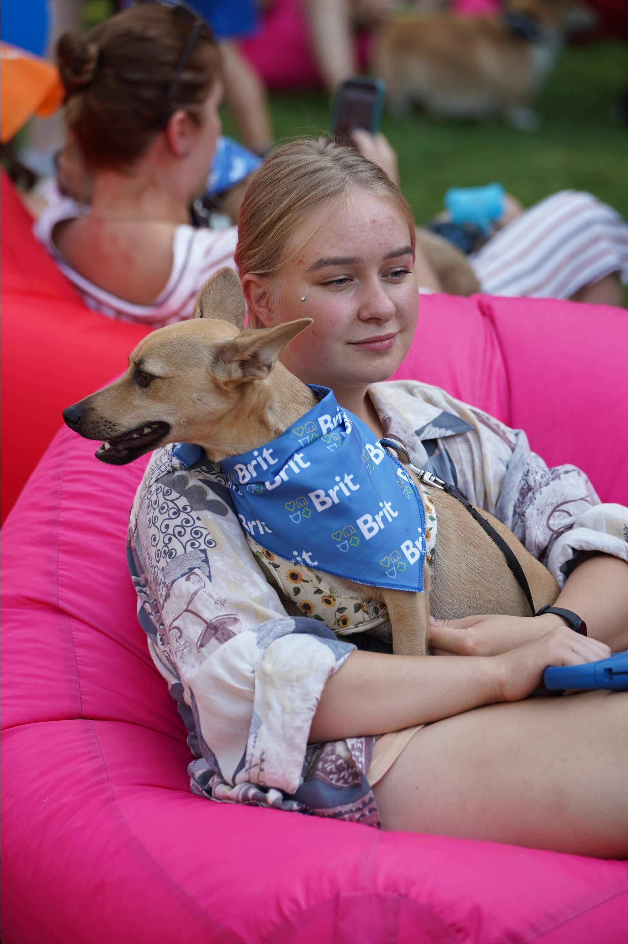 Петшопдей. Фотограф анималист