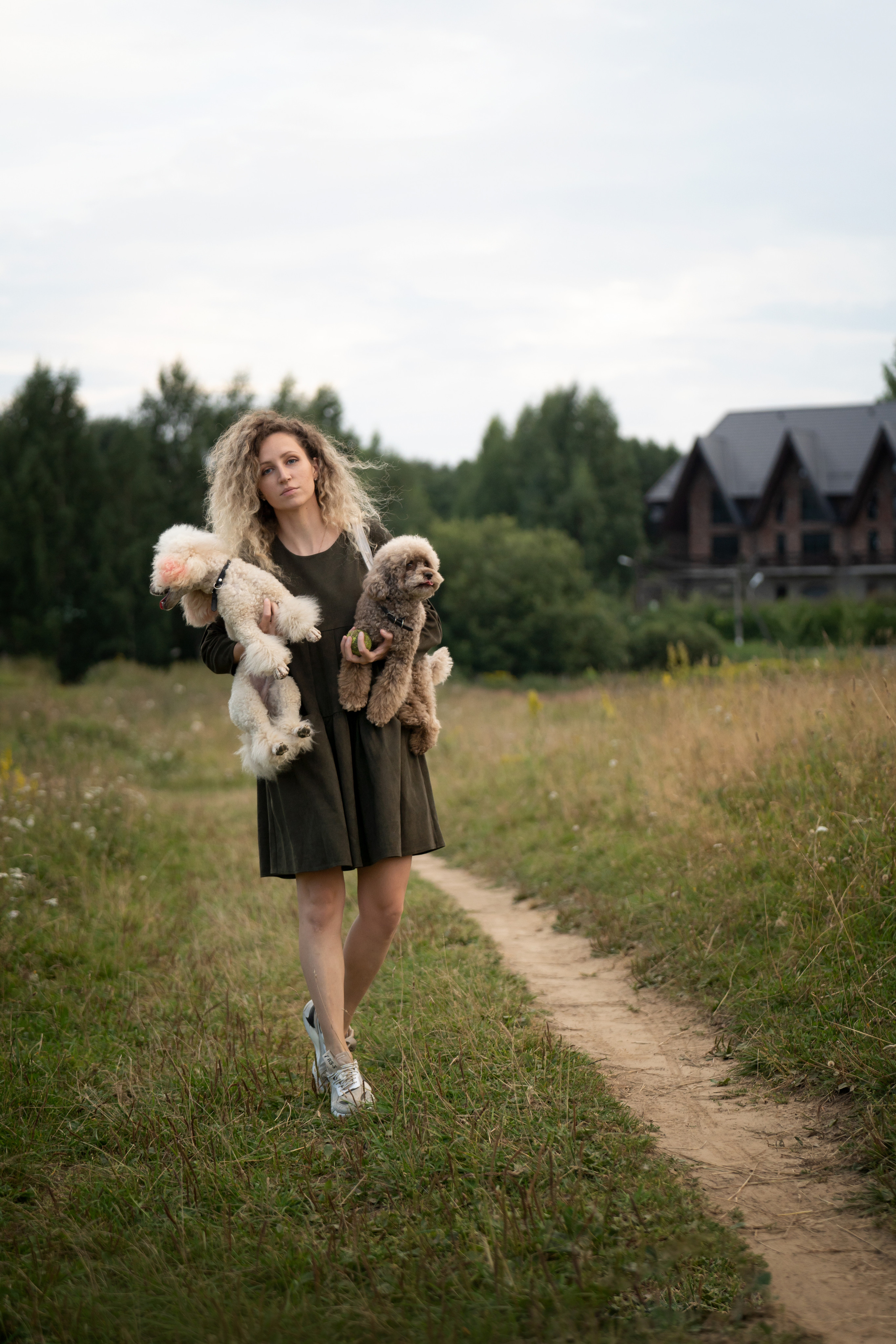 Кудрявая семья. Фотограф анималист