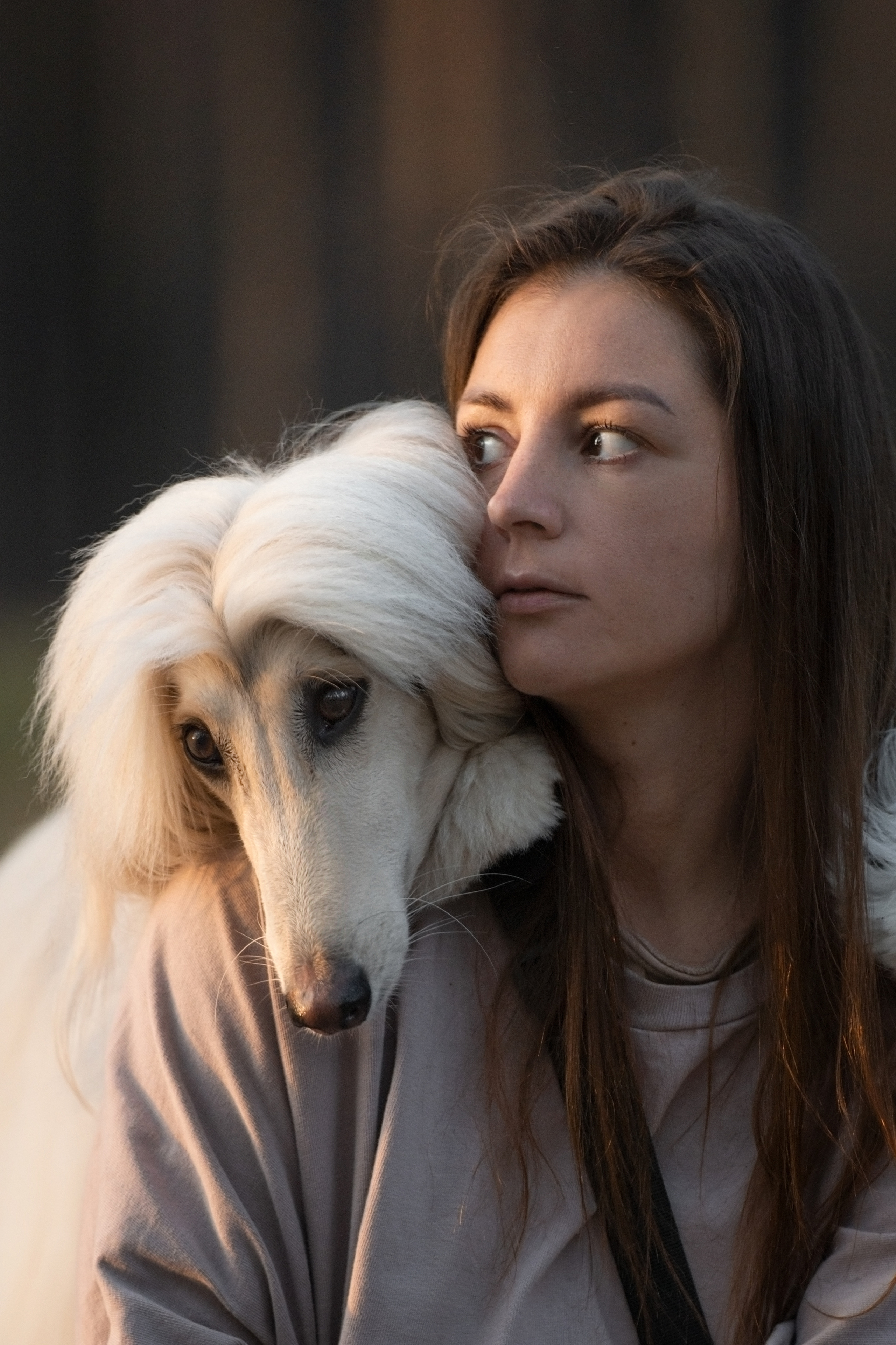 Путь к лесу. Фотограф анималист