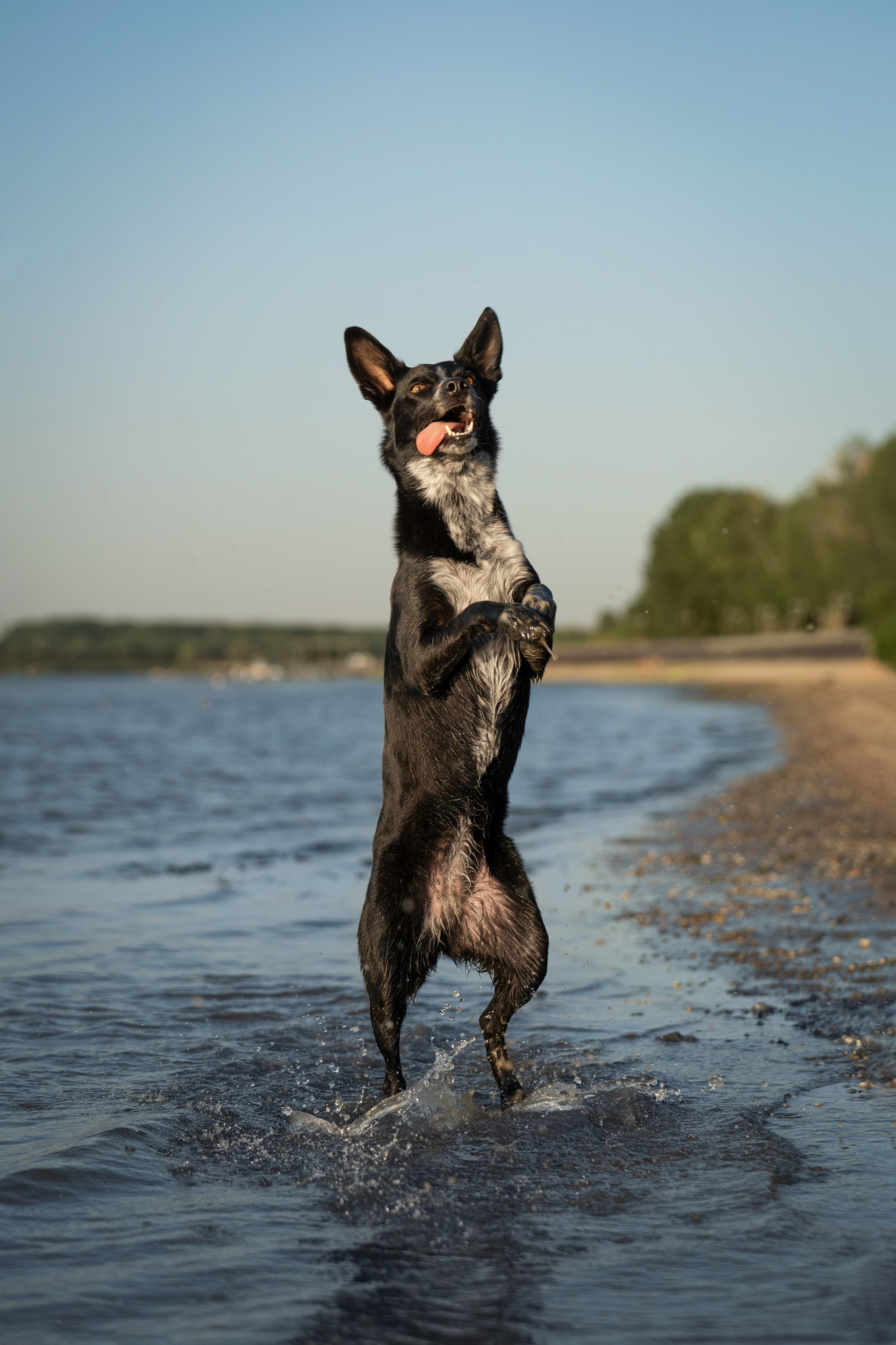Йота. Фотограф анималист