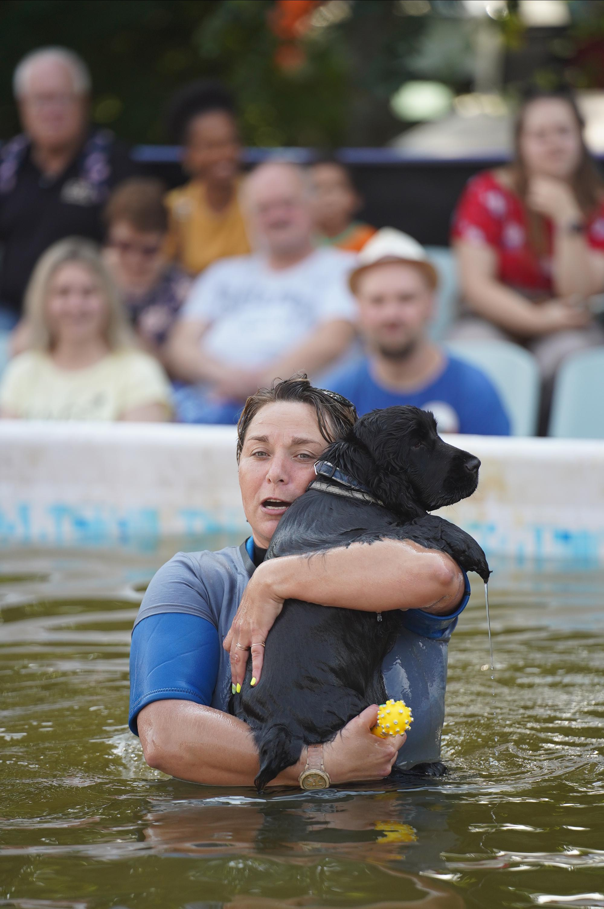 Петшопдей. Фотограф анималист