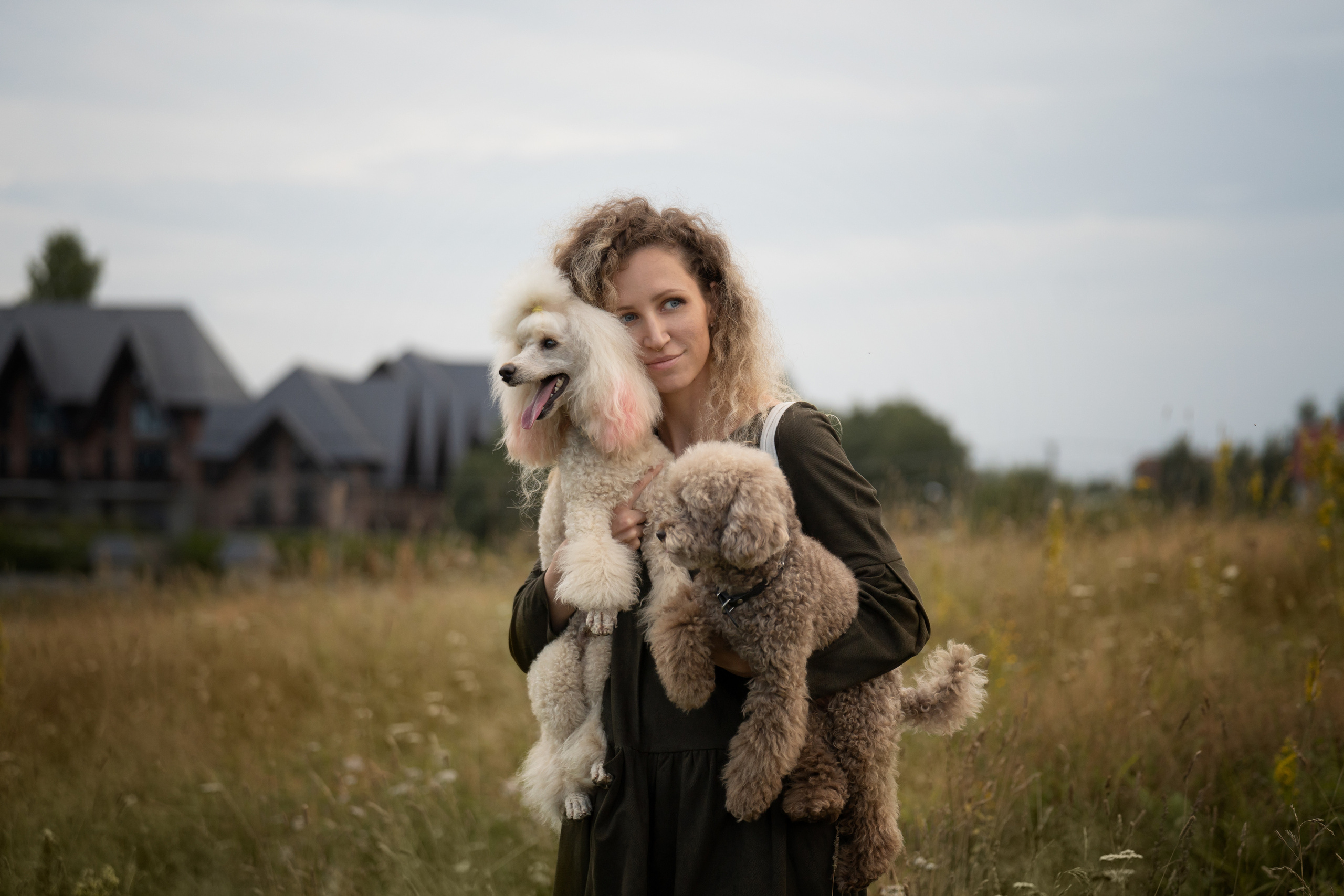 Кудрявая семья. Фотограф анималист