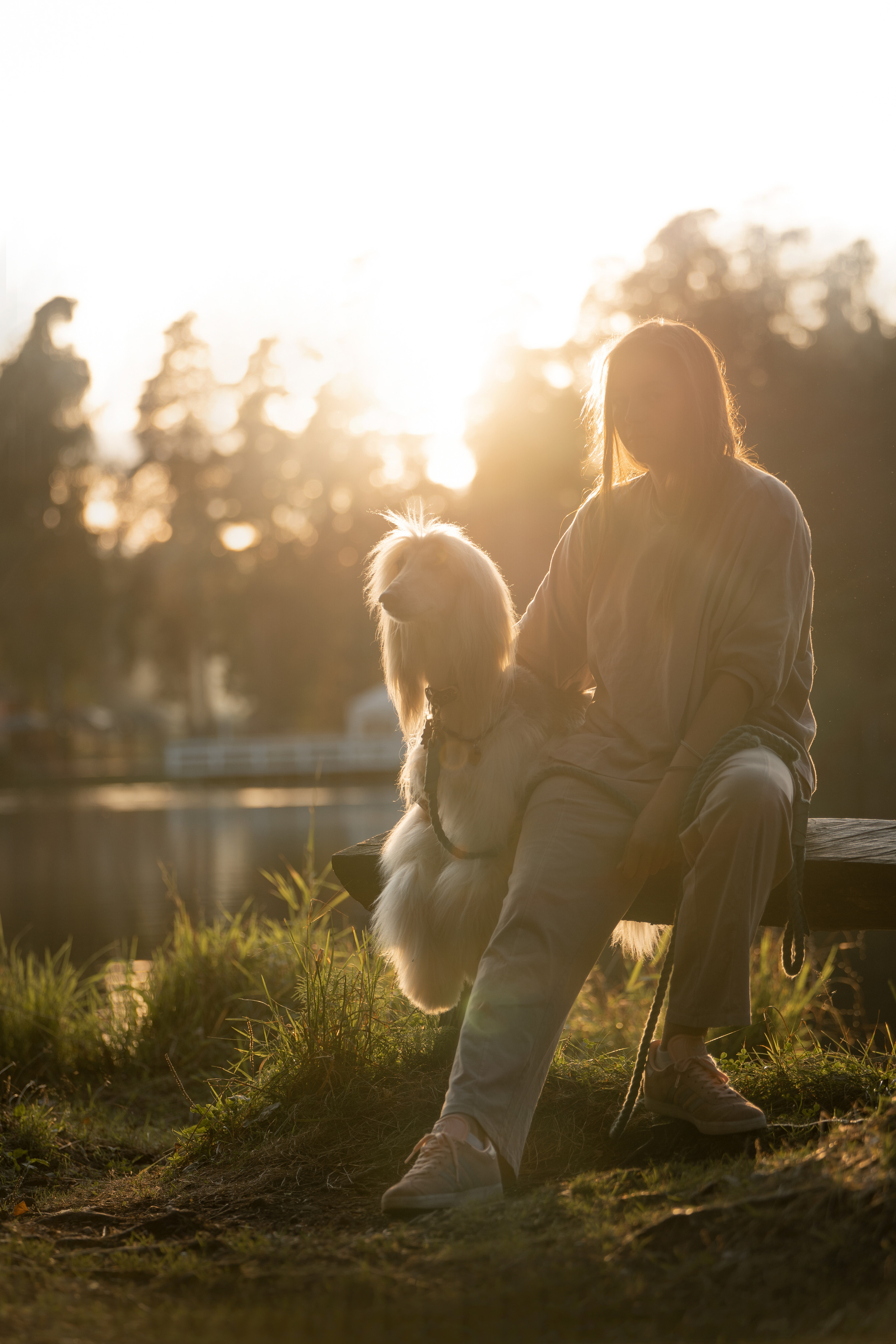 Путь к лесу. Фотограф анималист