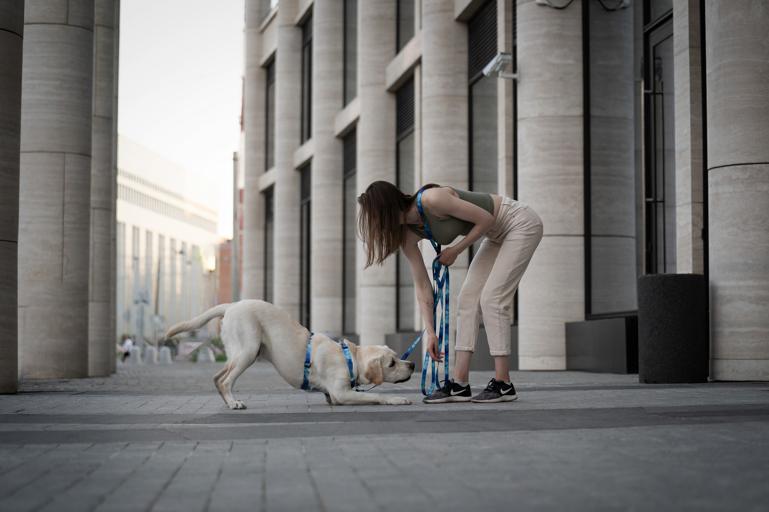 Наташа и Чарли. Фотограф анималист
