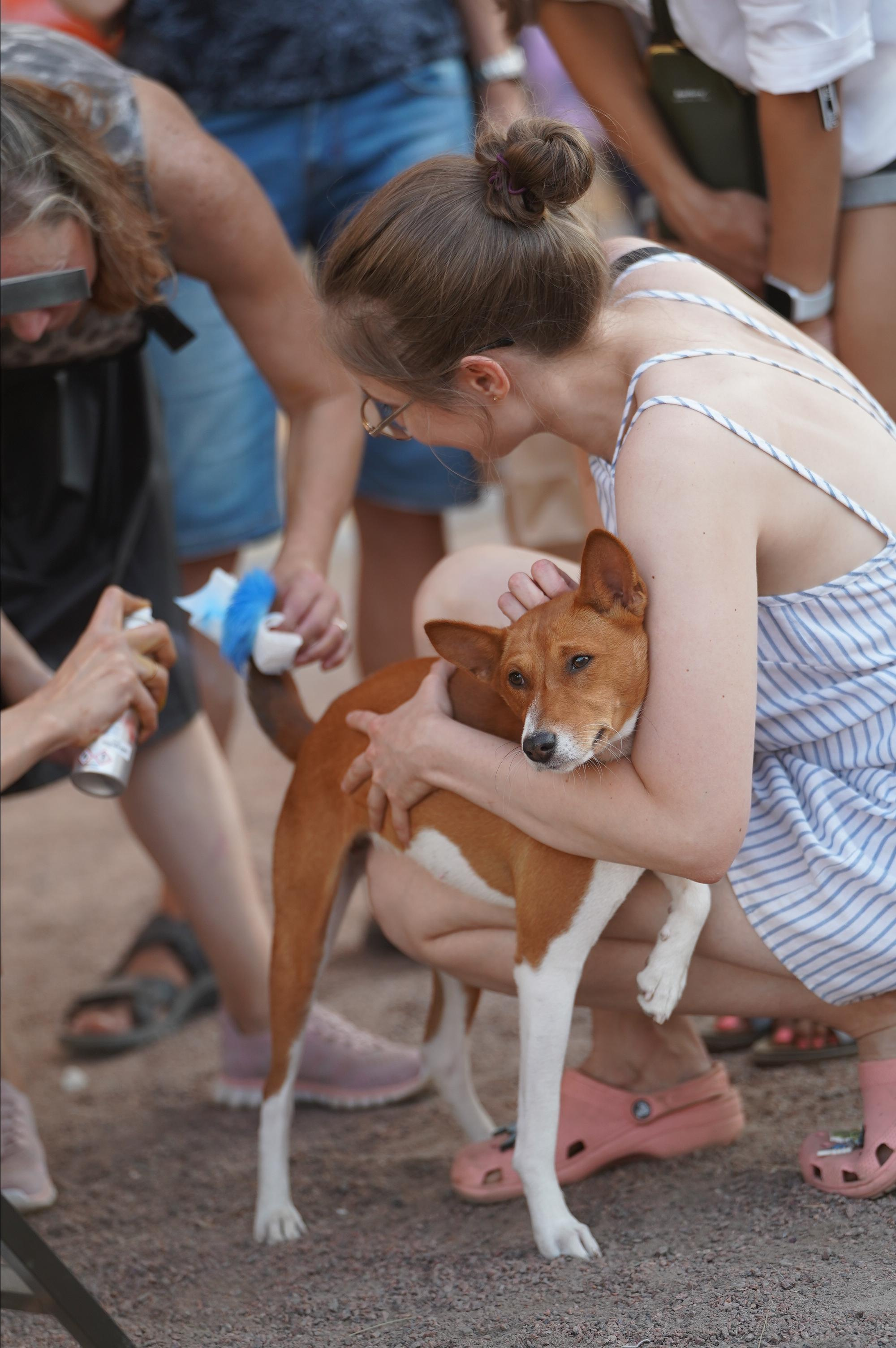 Петшопдей. Фотограф анималист