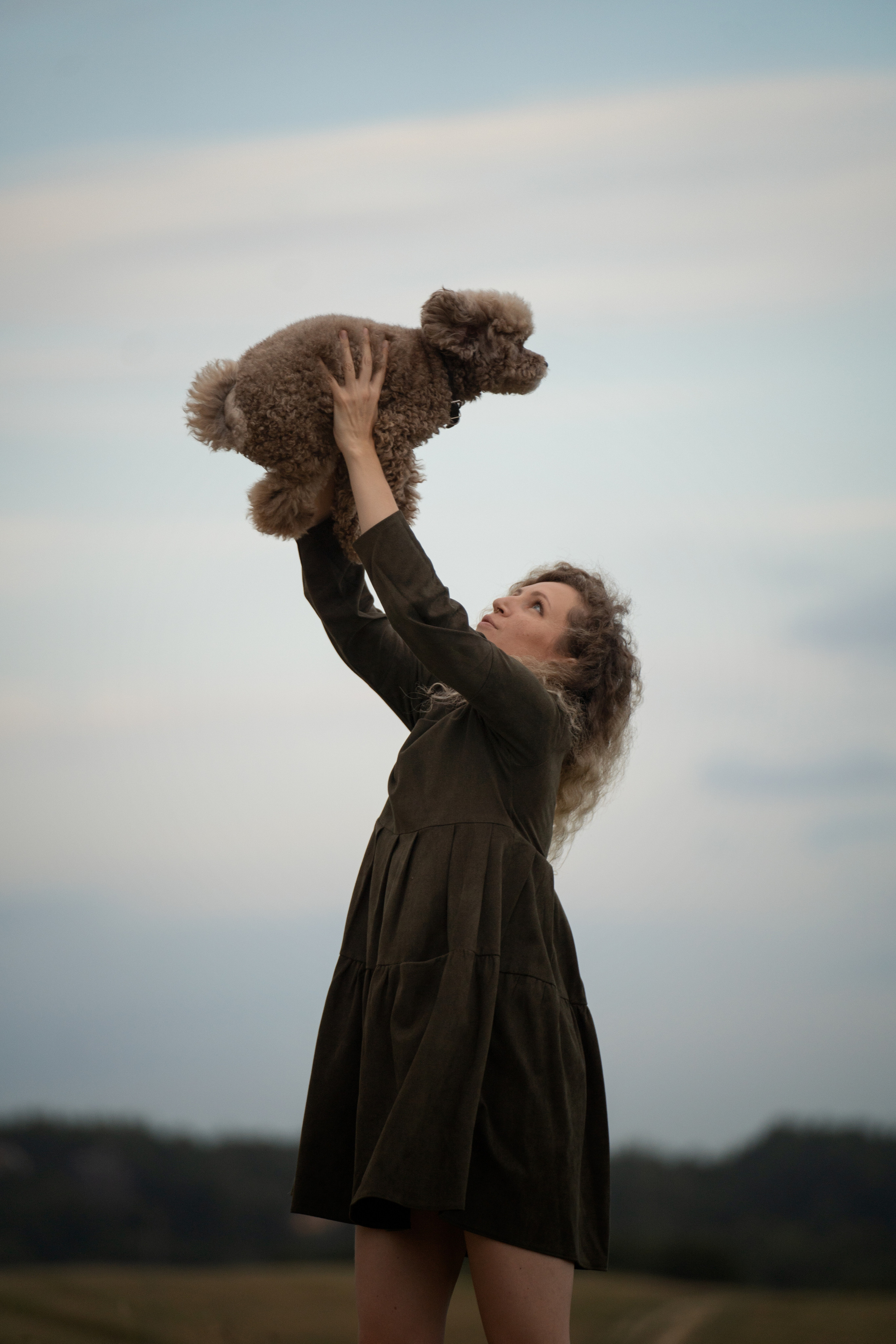 Кудрявая семья. Фотограф анималист