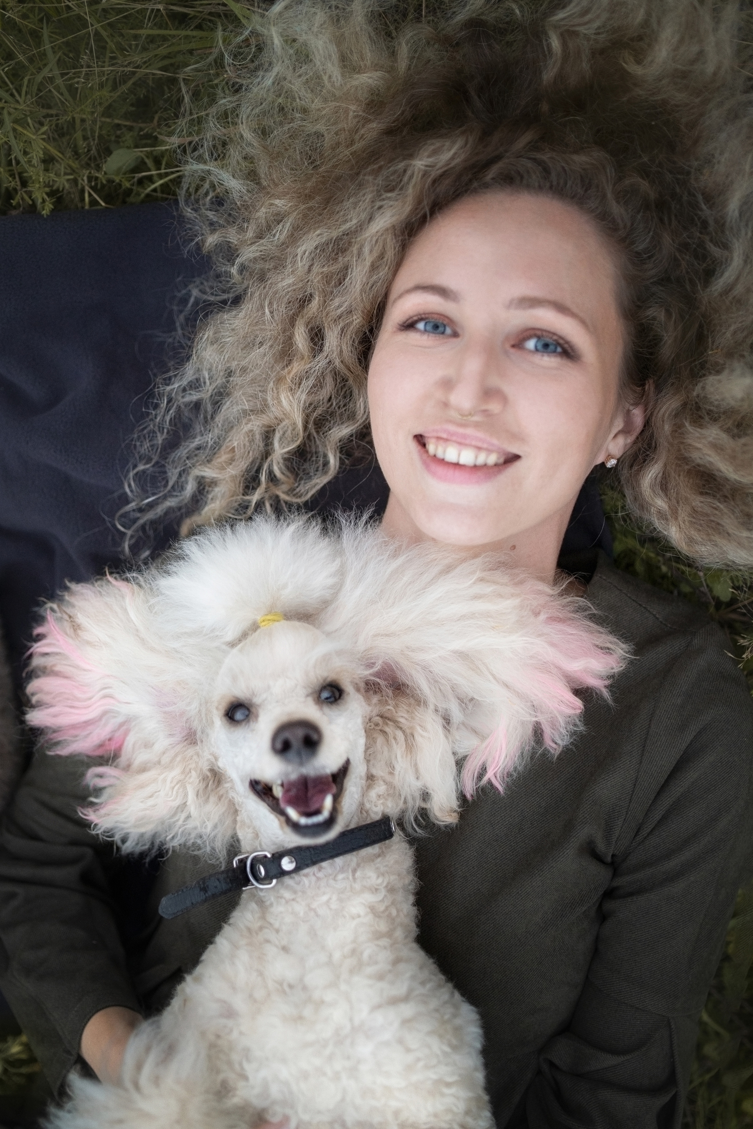 Кудрявая семья. Фотограф анималист