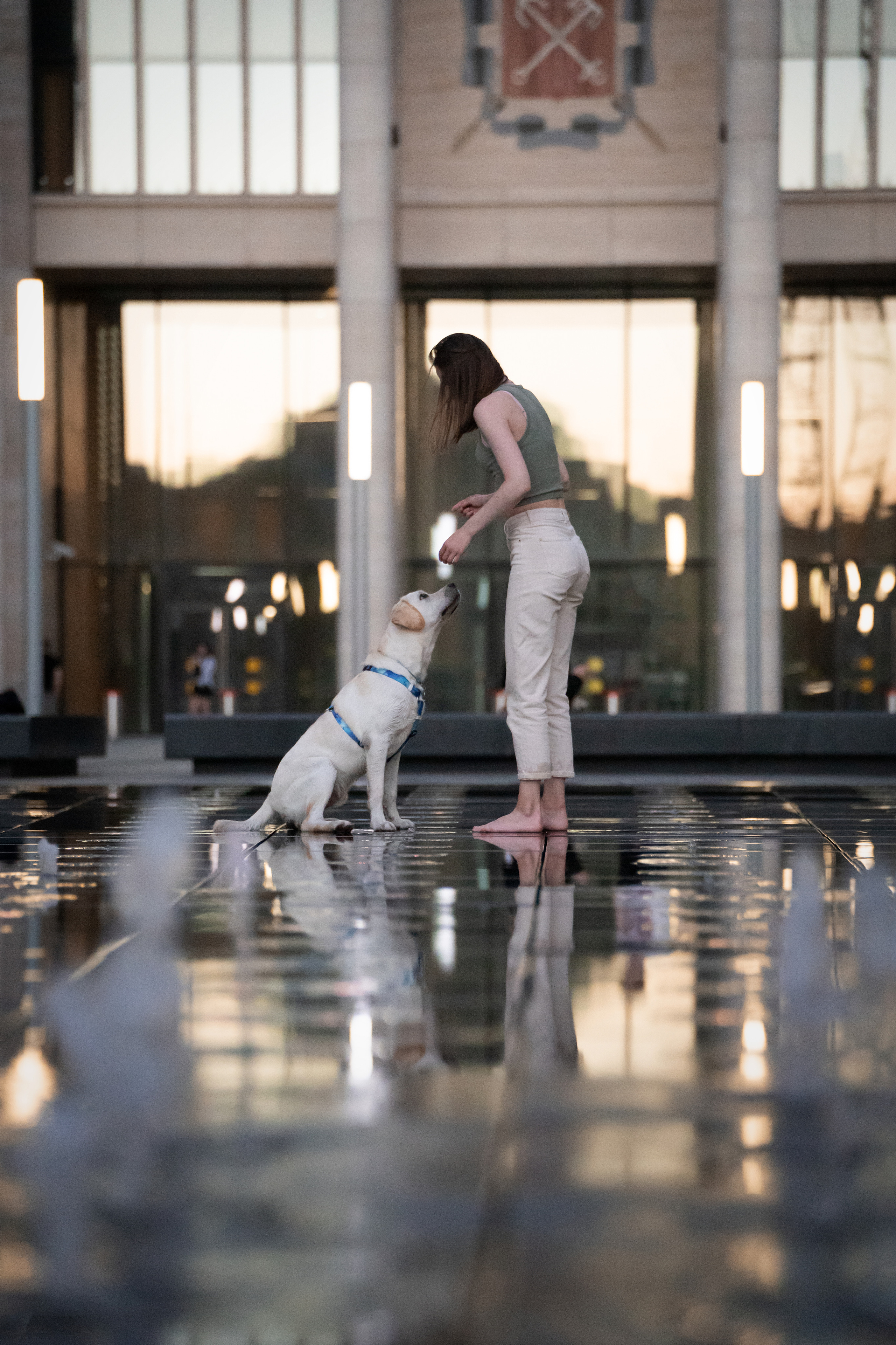 Наташа и Чарли. Фотограф анималист