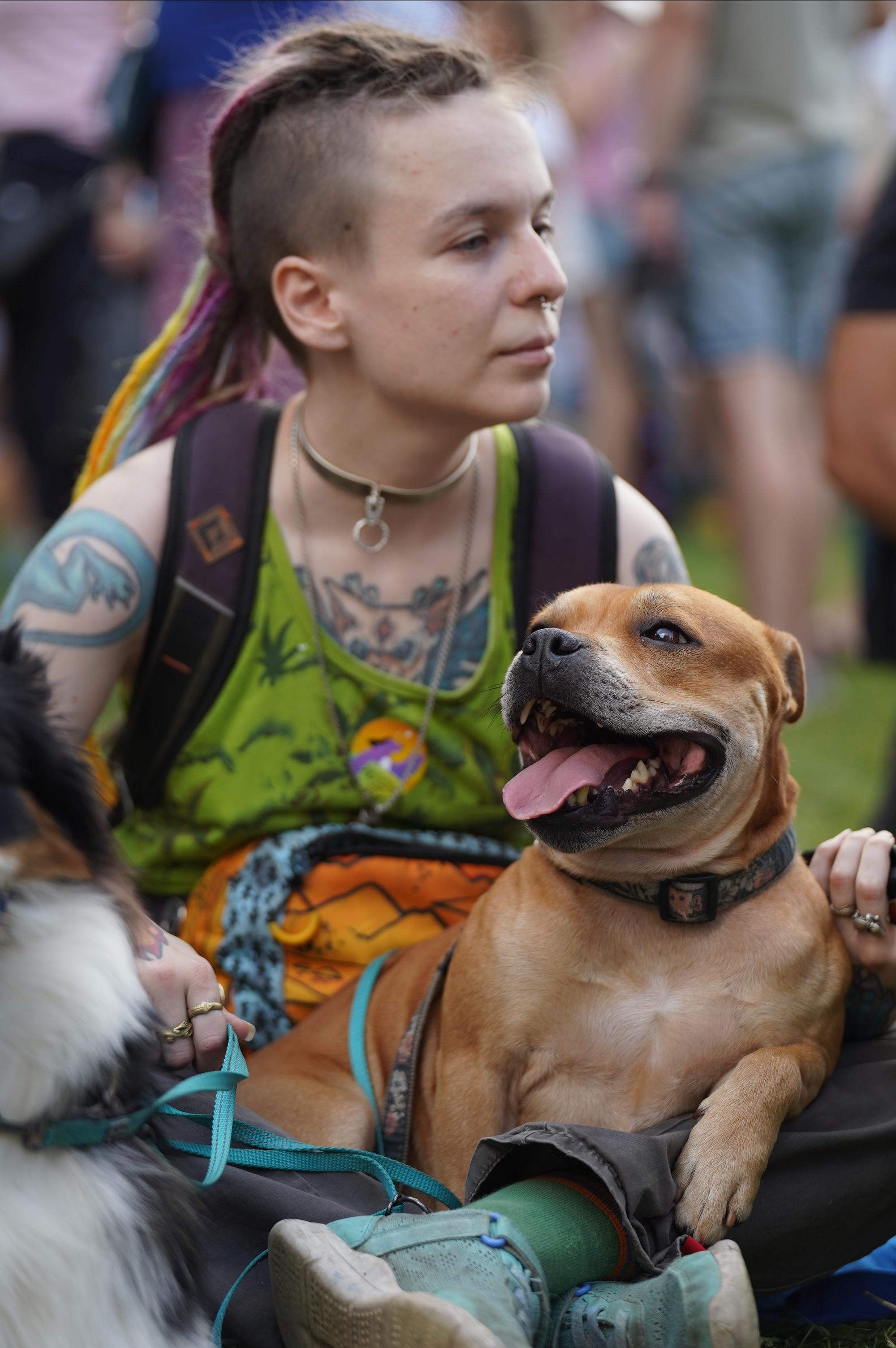 Петшопдей. Фотограф анималист