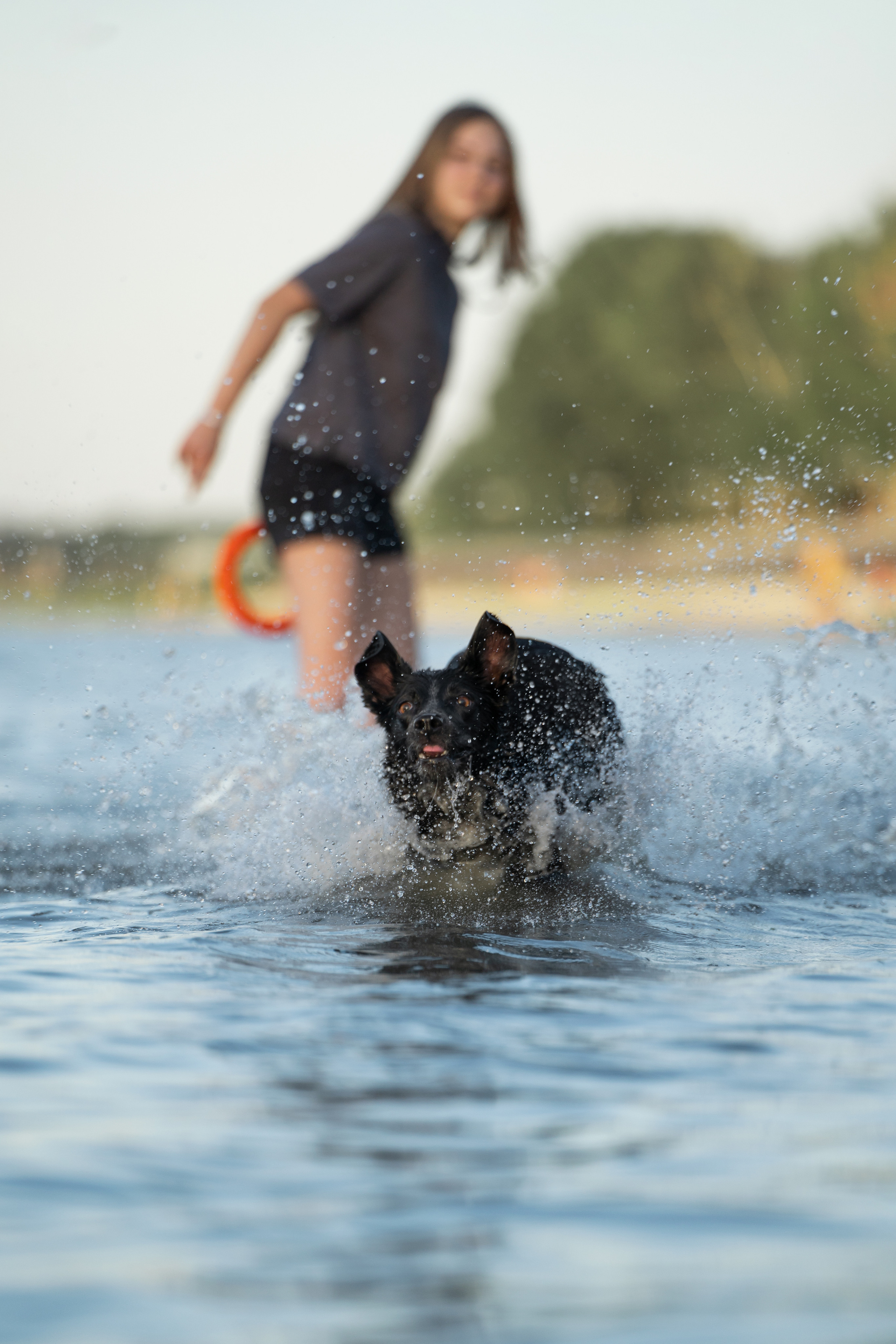 Йота. Фотограф анималист