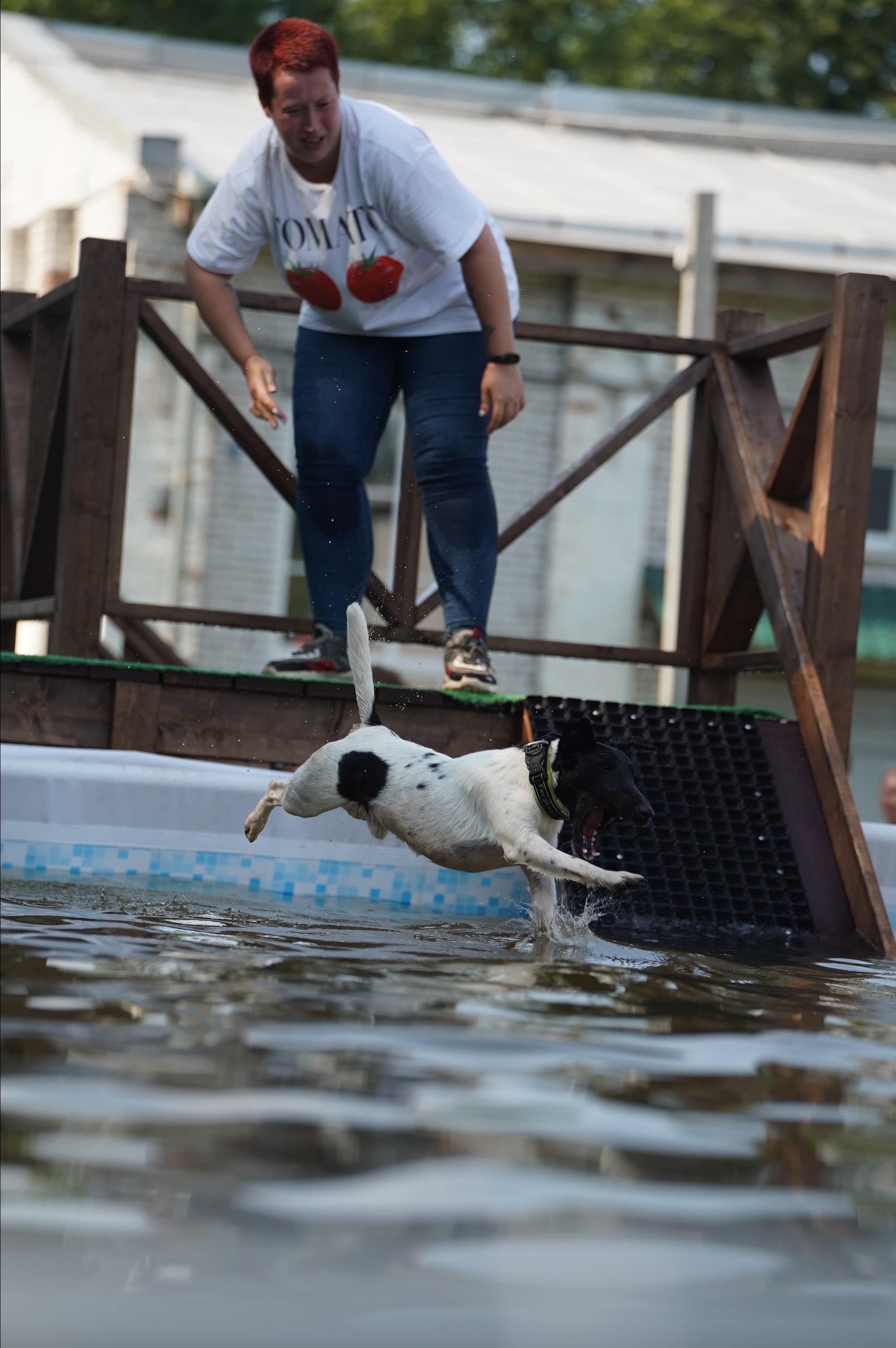 Петшопдей. Фотограф анималист
