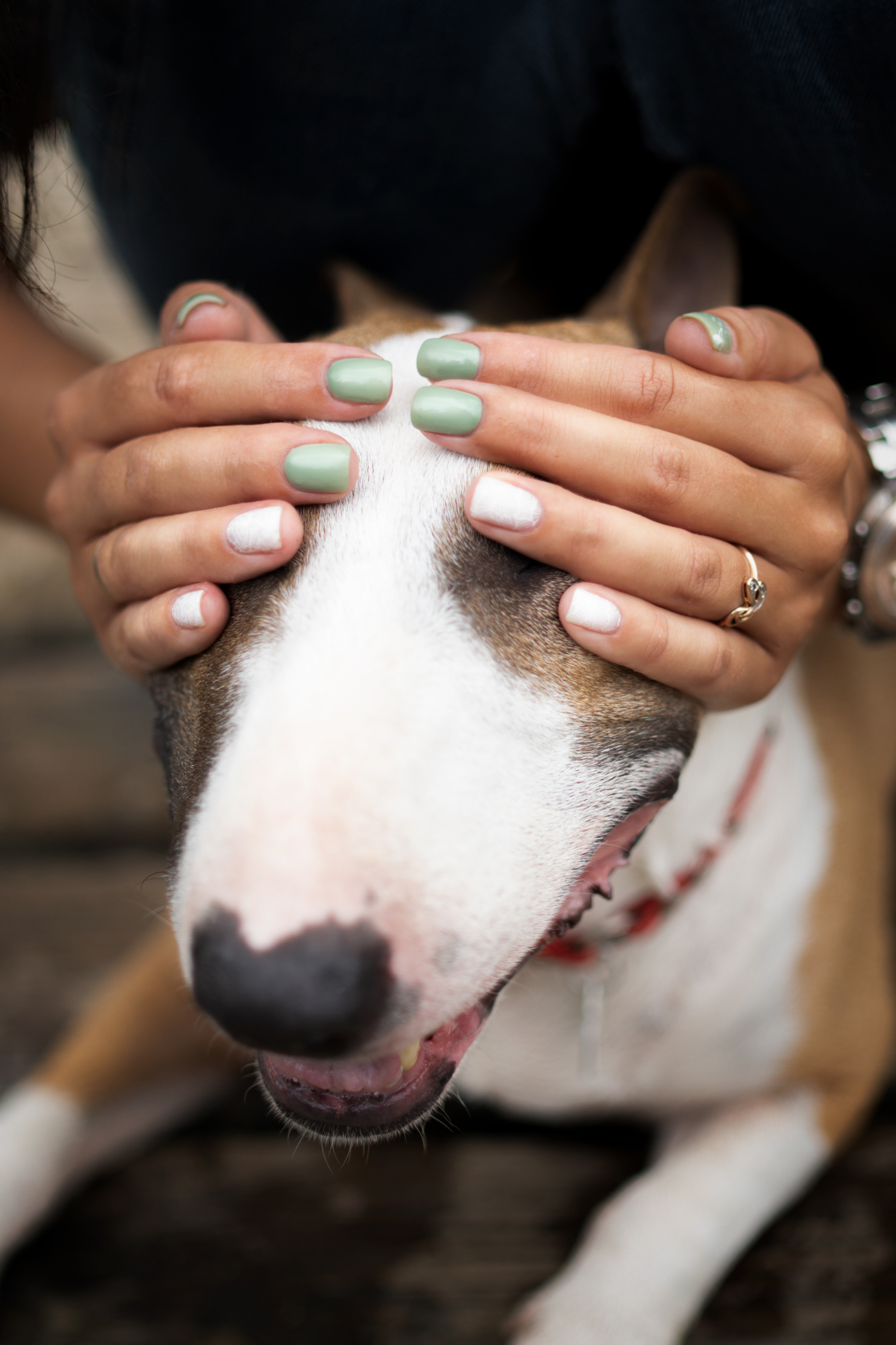 Яна и Юни. Фотограф анималист