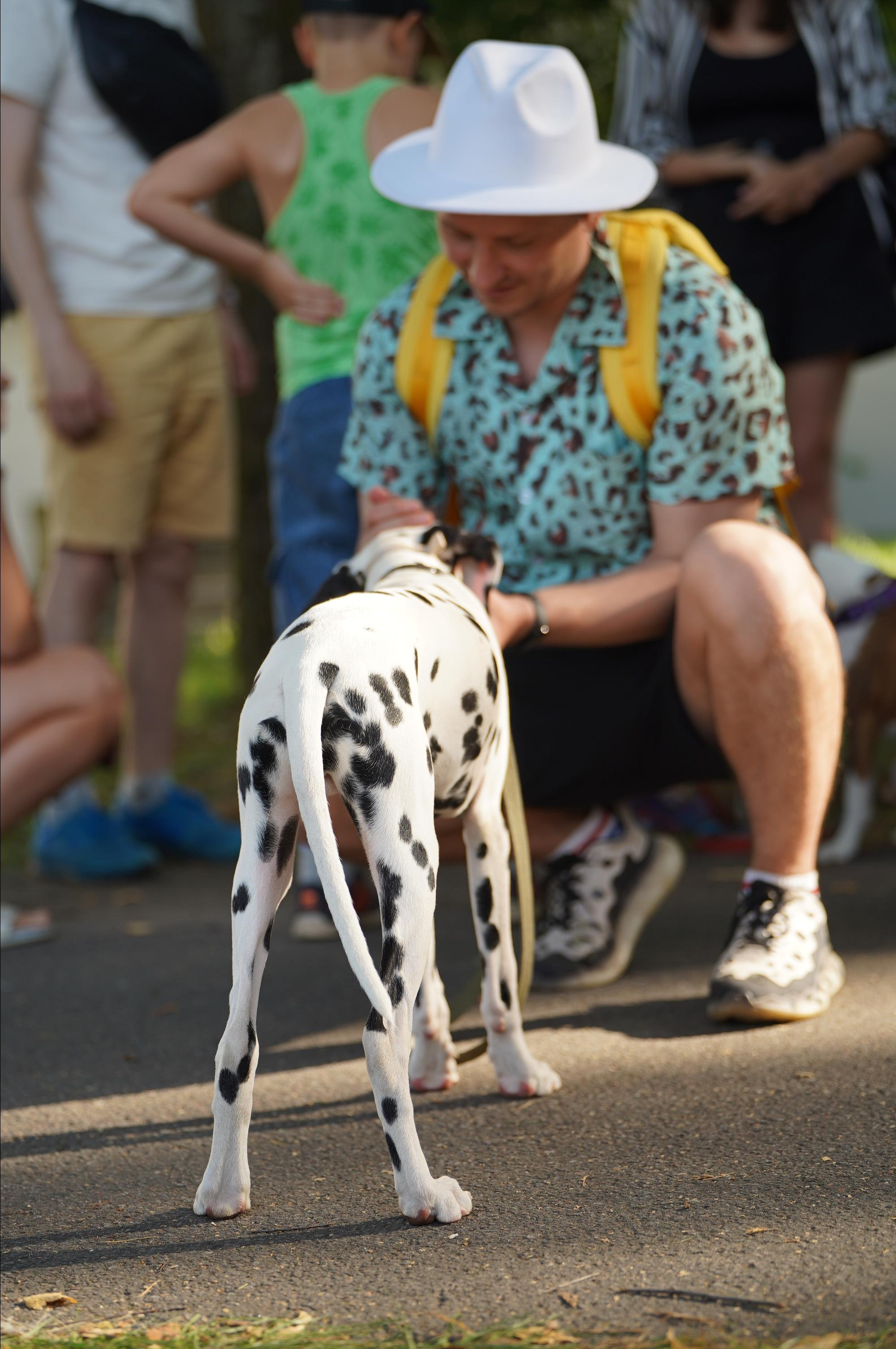 Петшопдей. Фотограф анималист