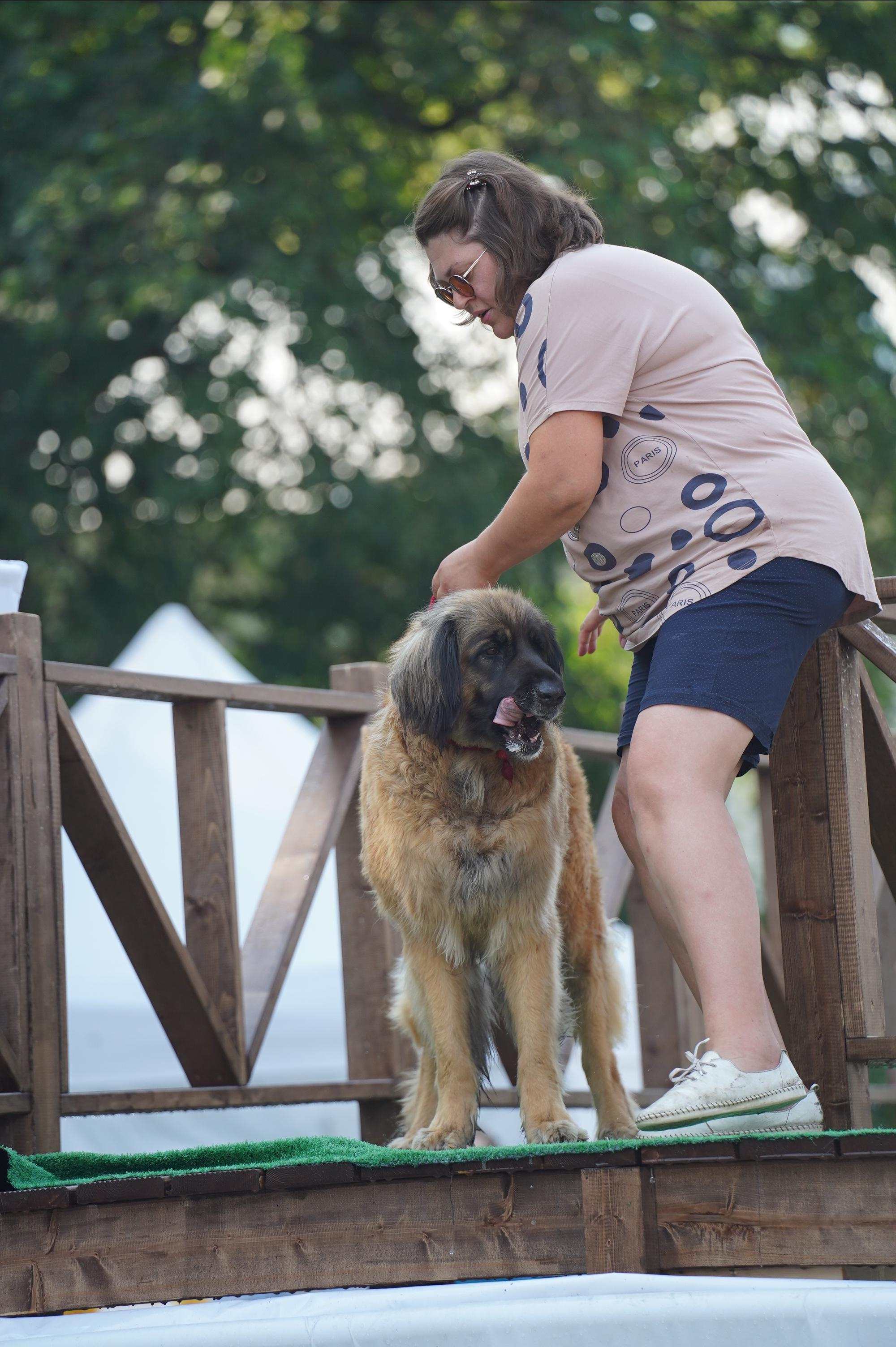 Петшопдей. Фотограф анималист