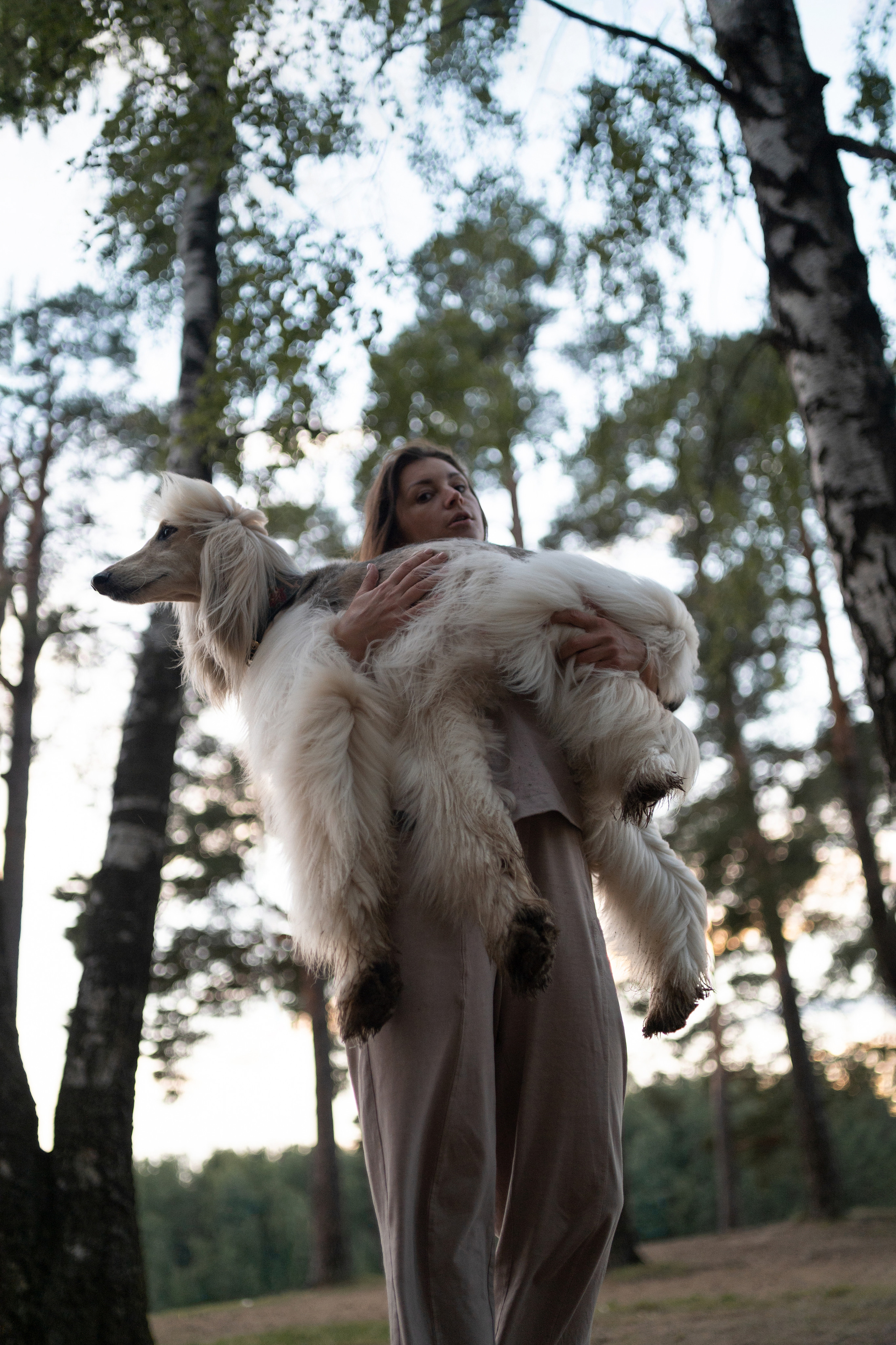 Путь к лесу. Фотограф анималист