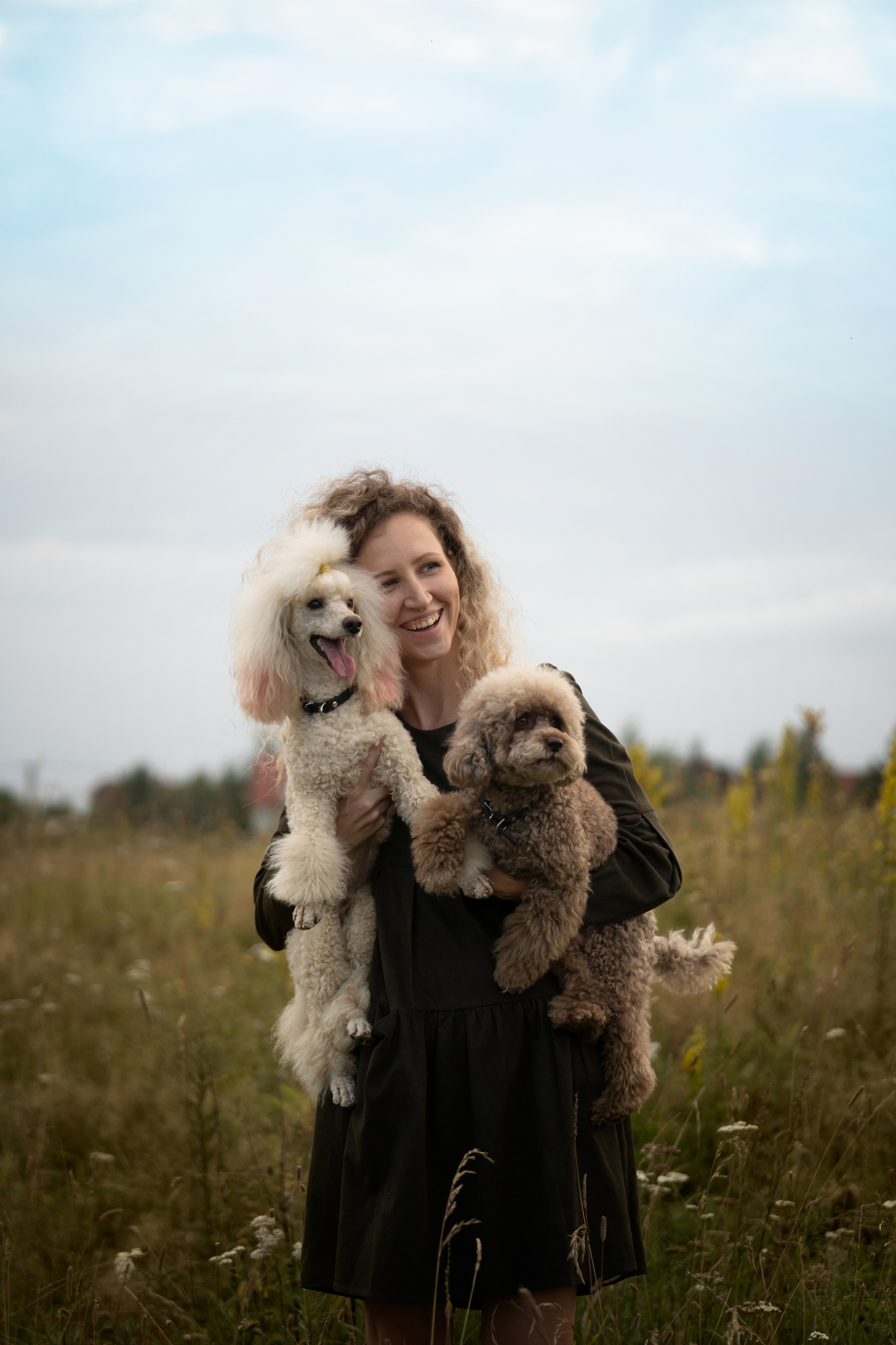 Кудрявая семья. Фотограф анималист