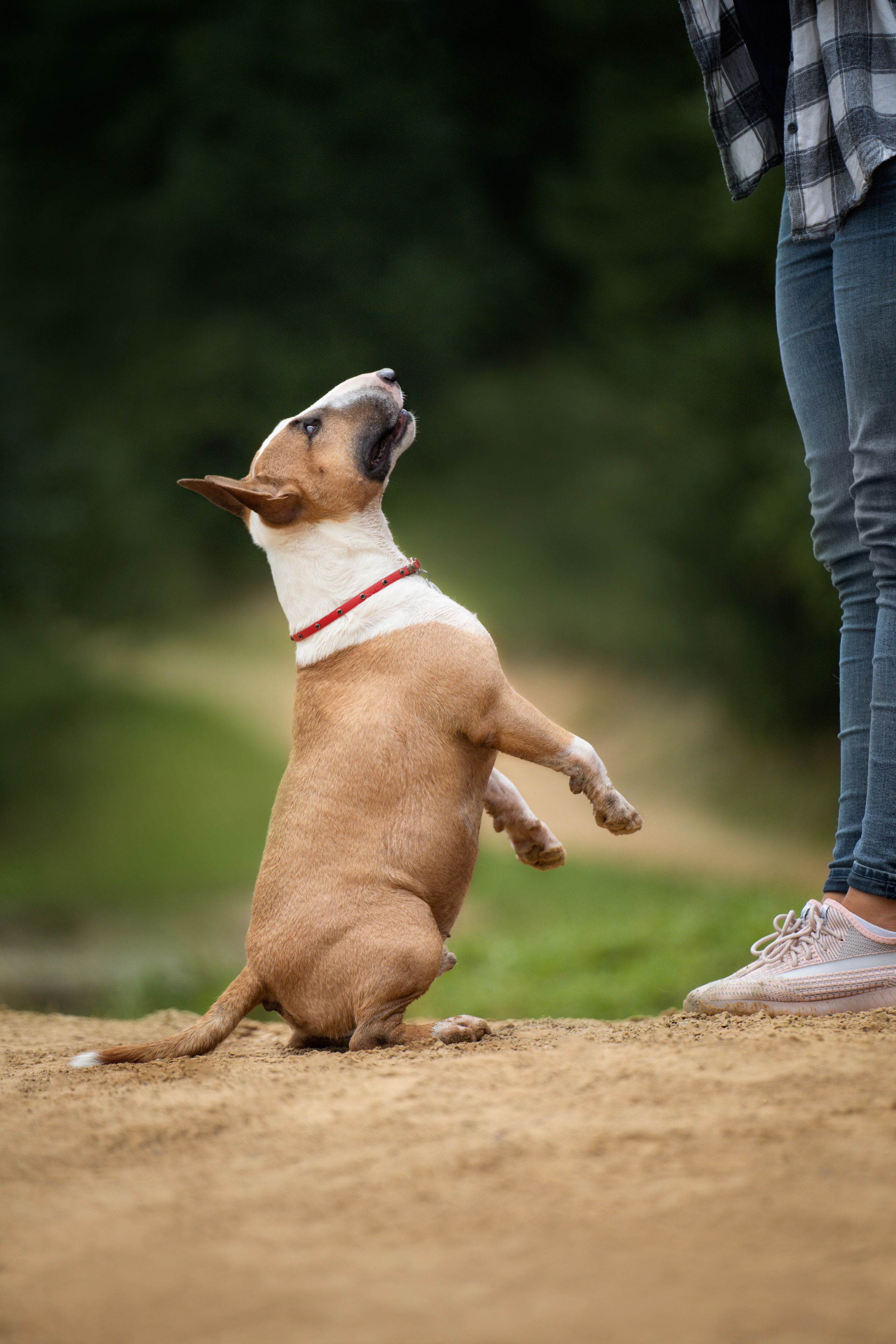 Яна и Юни. Фотограф анималист
