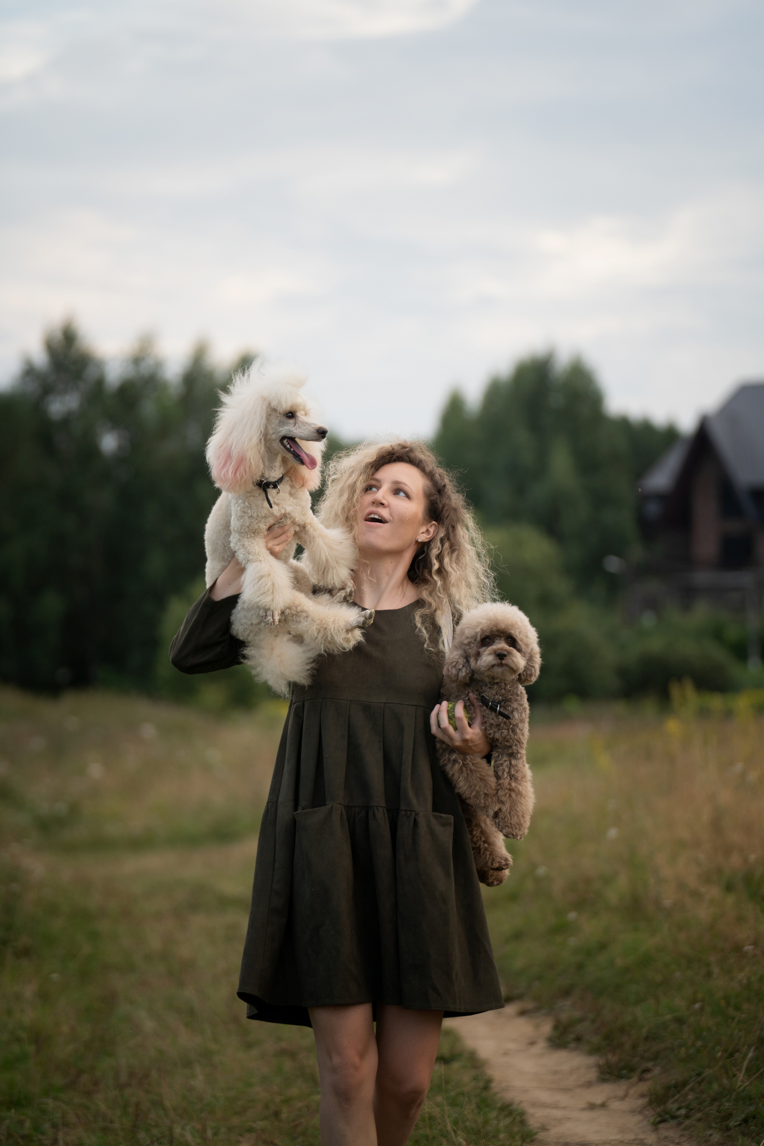 Кудрявая семья. Фотограф анималист