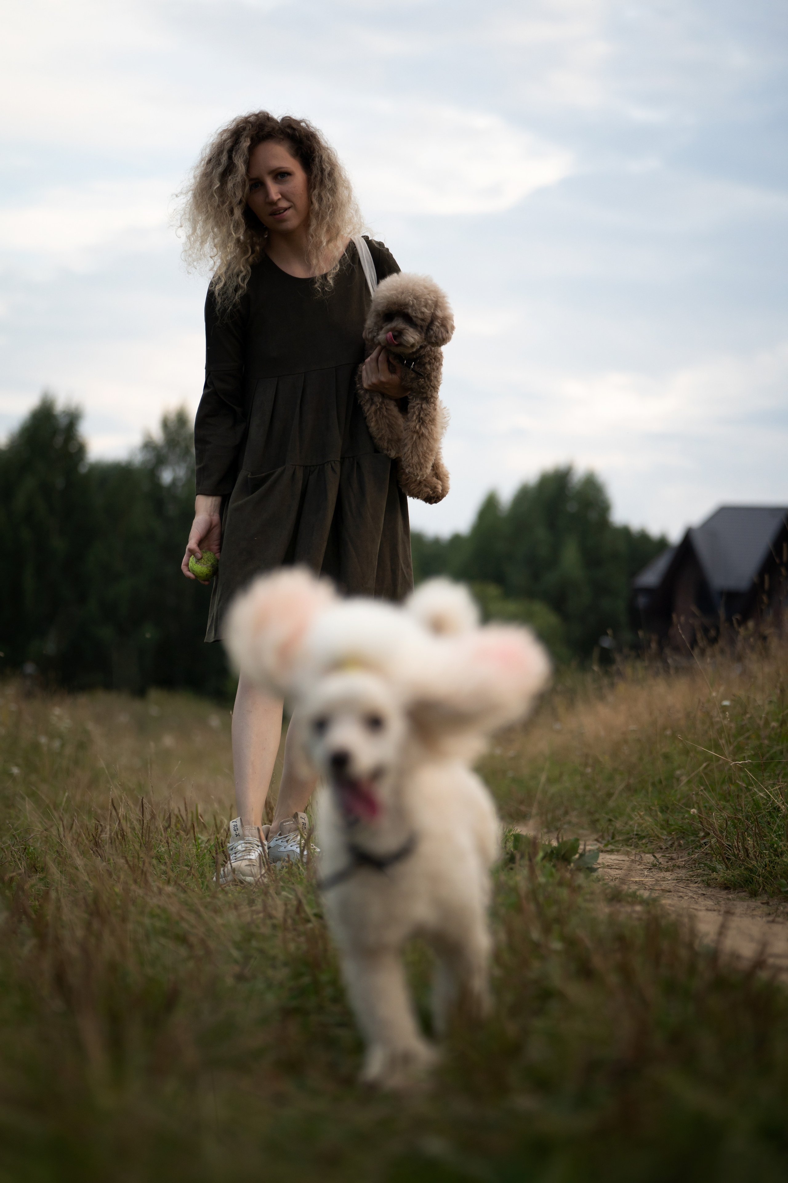 Кудрявая семья. Фотограф анималист