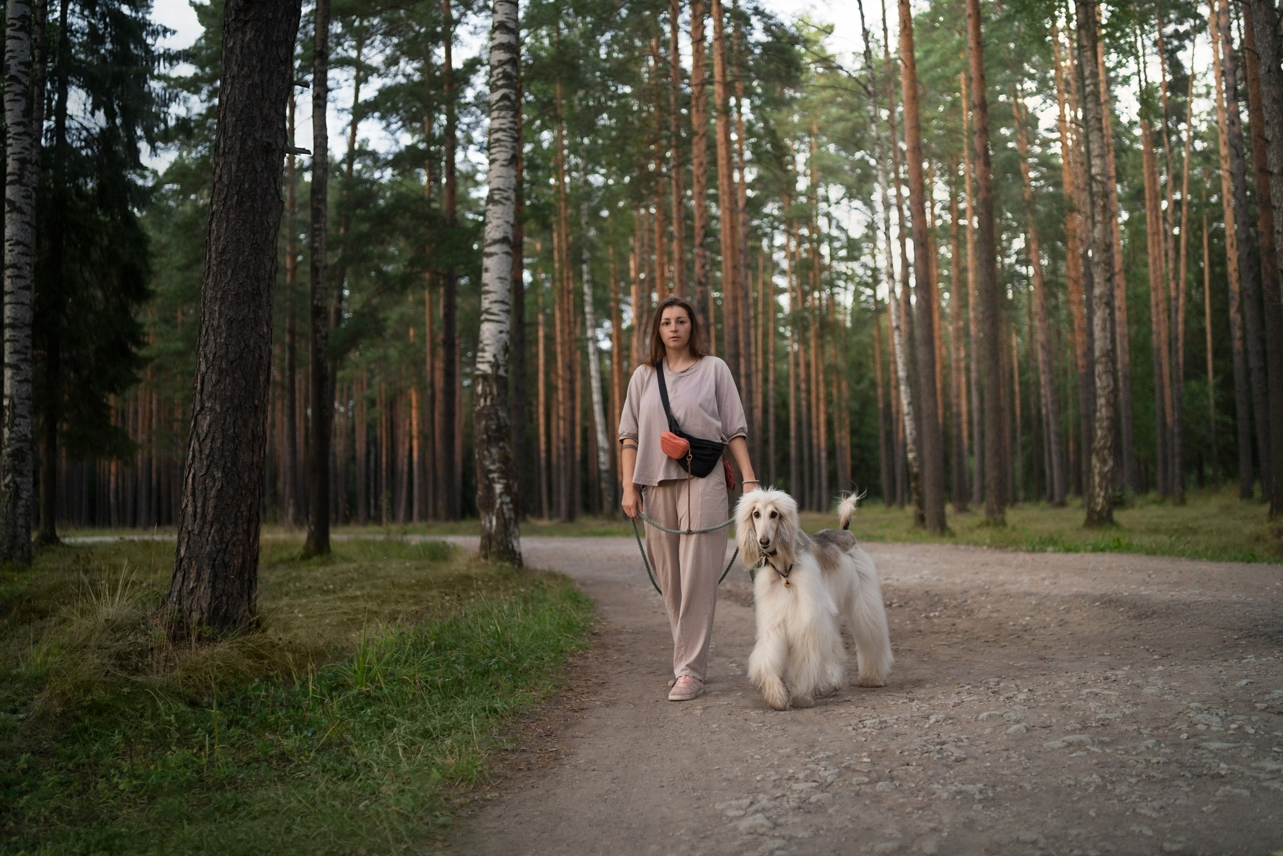 Путь к лесу. Фотограф анималист