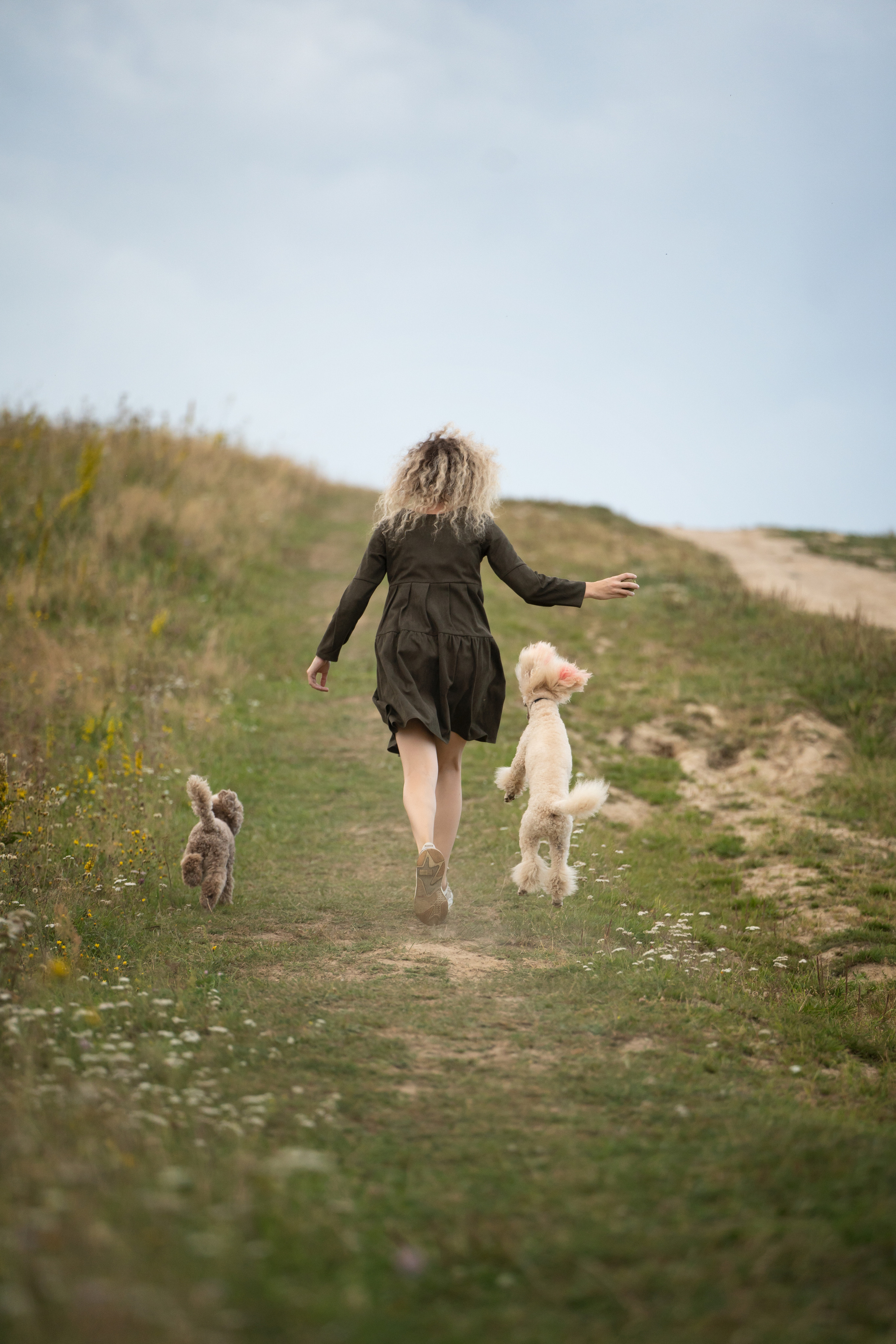 Кудрявая семья. Фотограф анималист