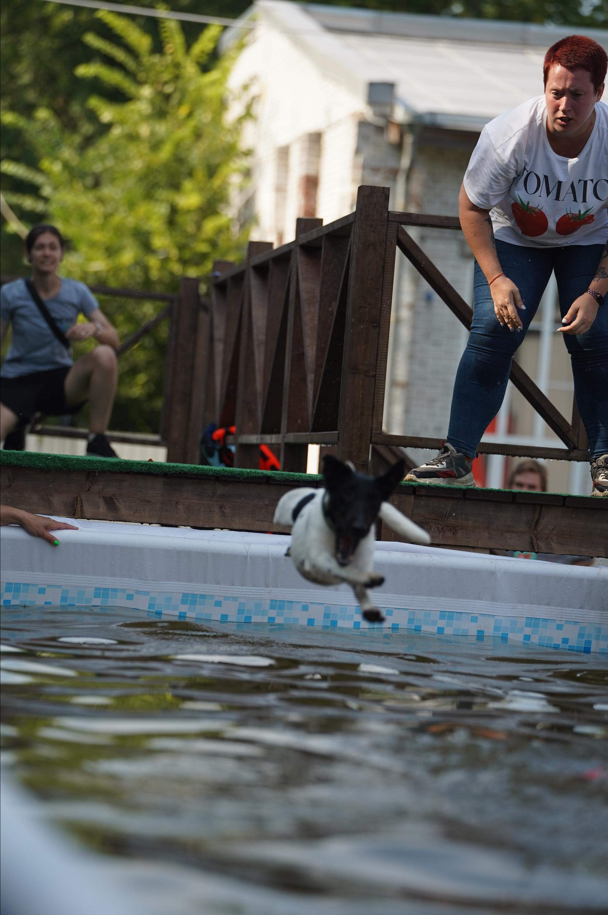 Петшопдей. Фотограф анималист