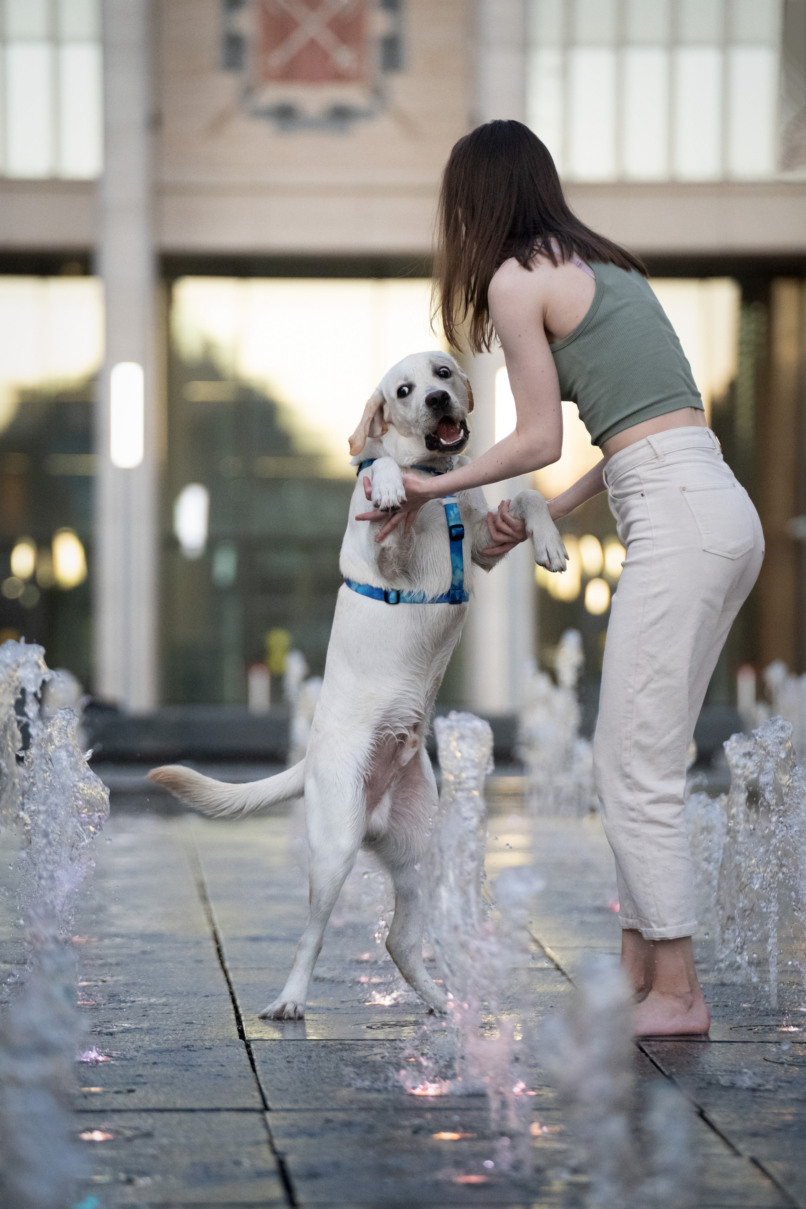 Наташа и Чарли. Фотограф анималист