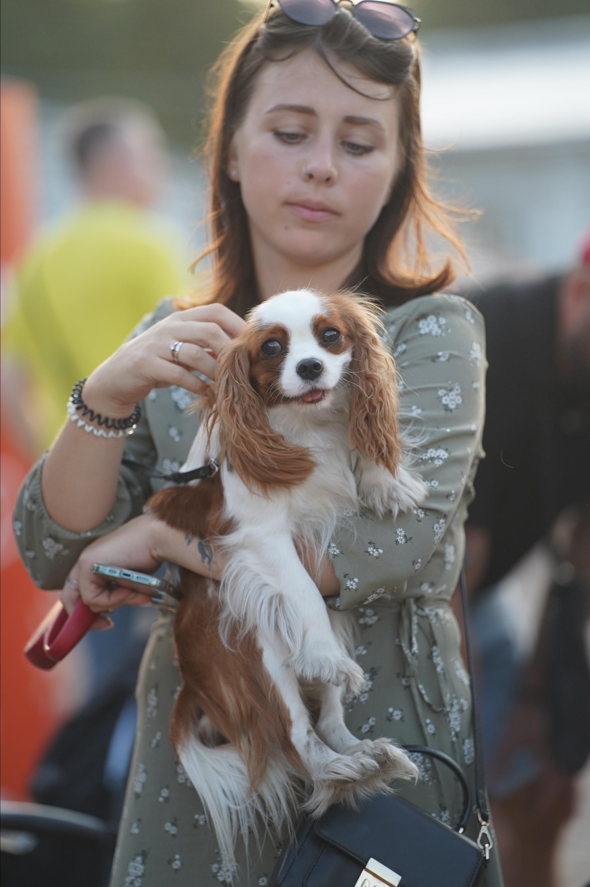 Петшопдей. Фотограф анималист