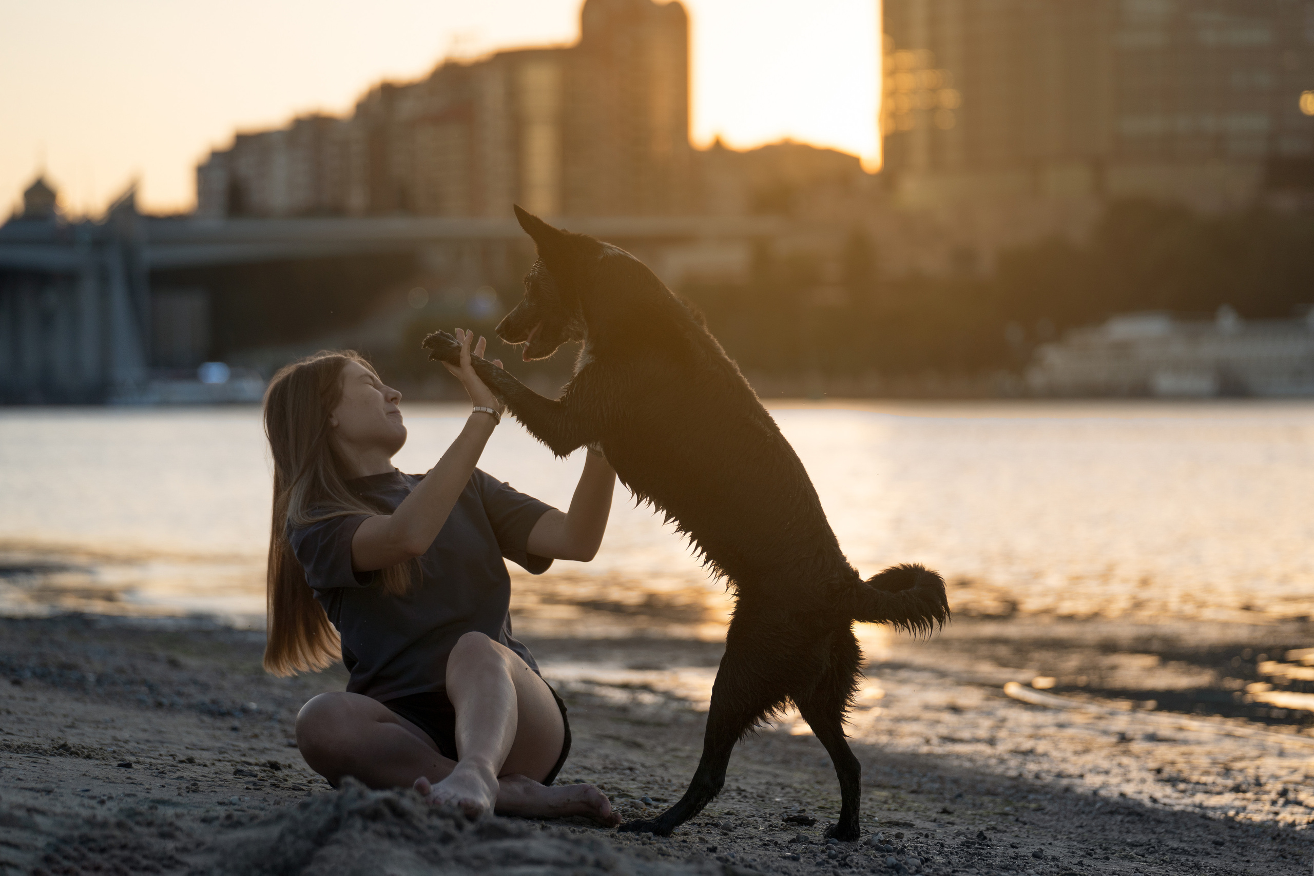 Йота. Фотограф анималист