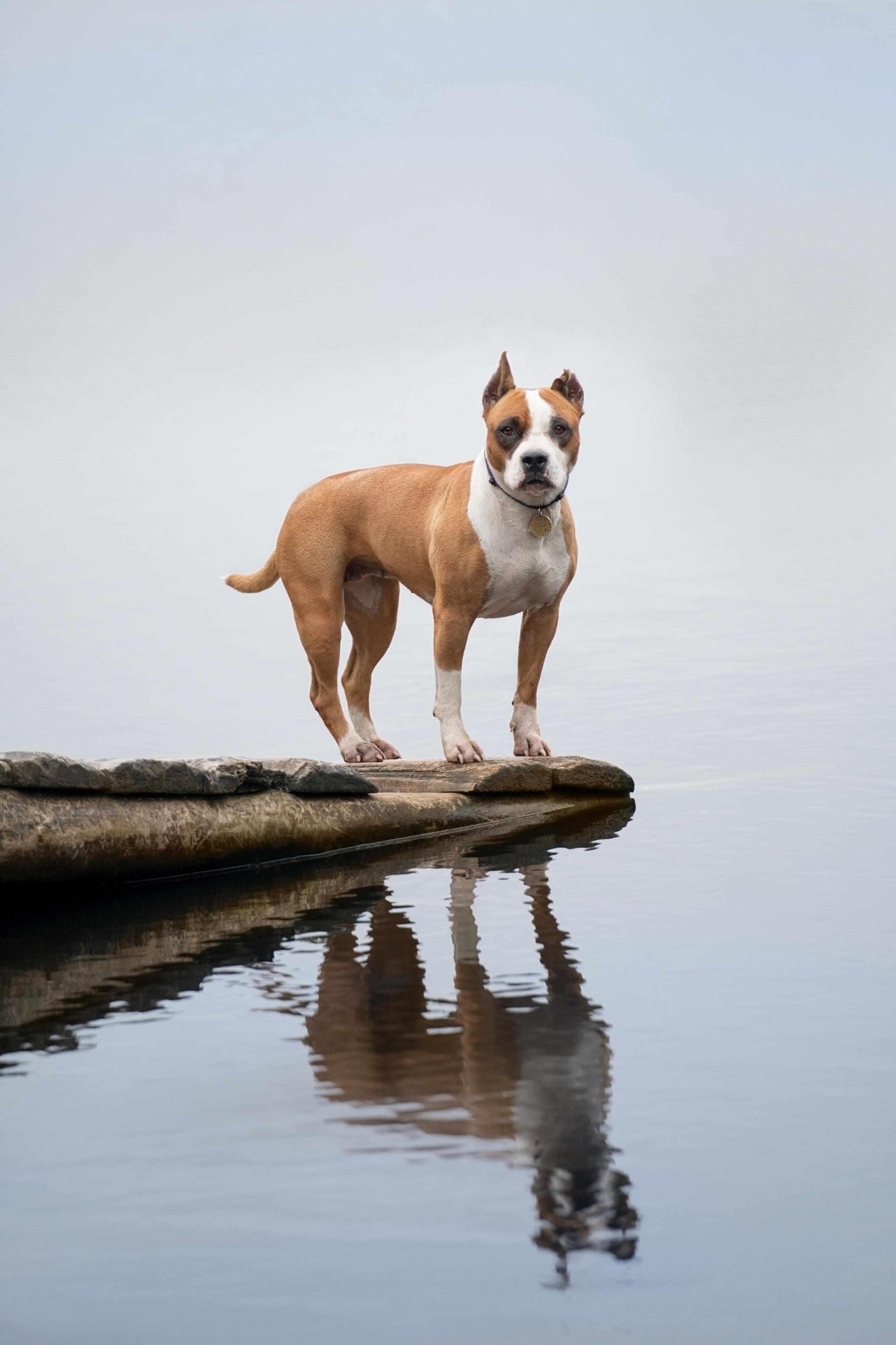 Катя, Антон, Марс и Юта. Фотограф анималист