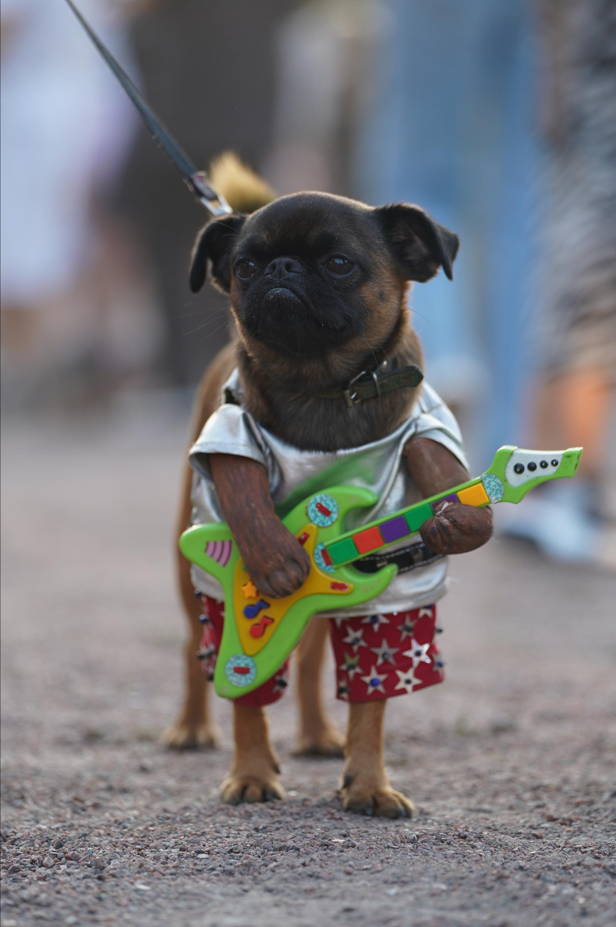Петшопдей. Фотограф анималист