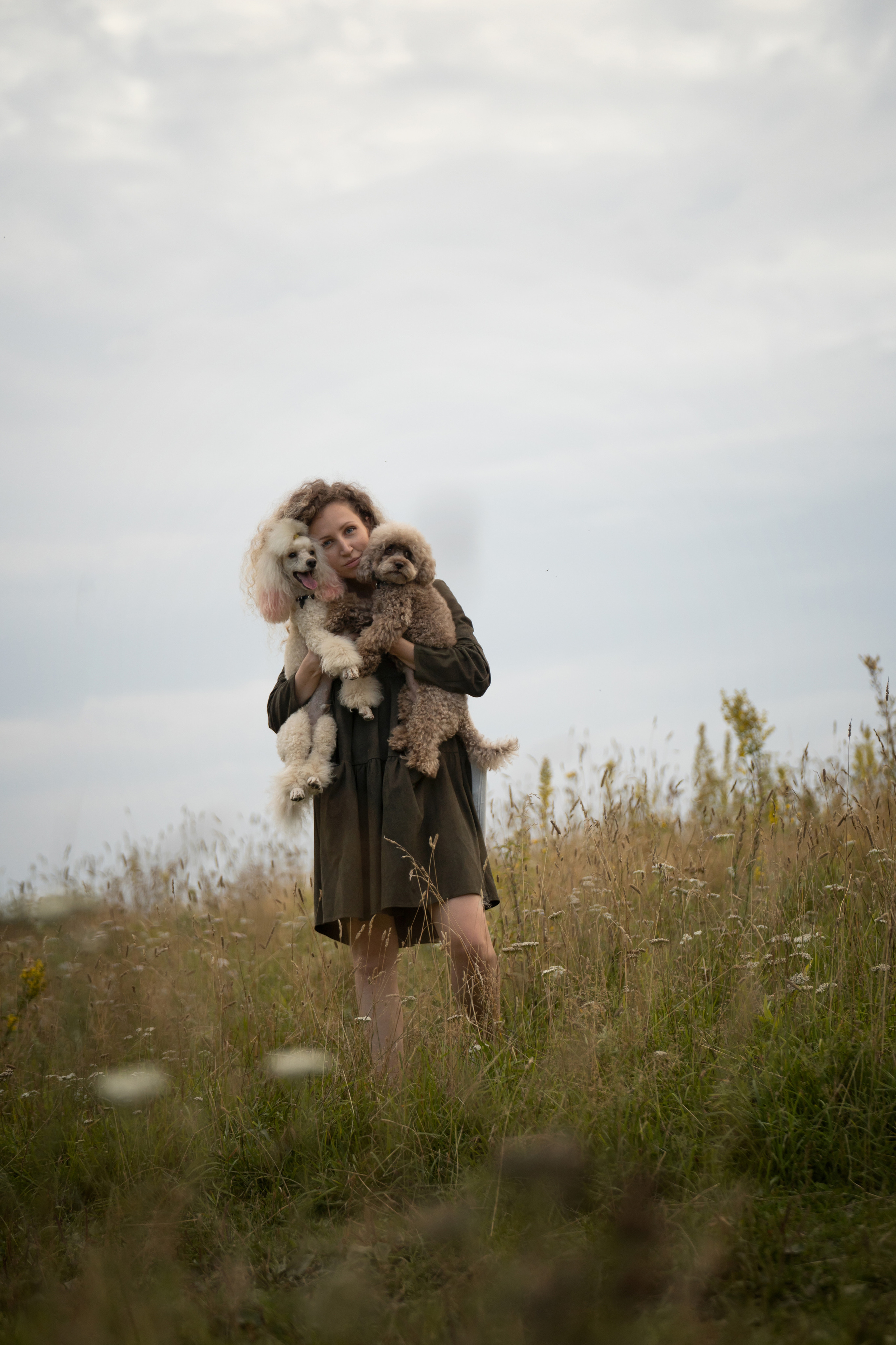 Кудрявая семья. Фотограф анималист