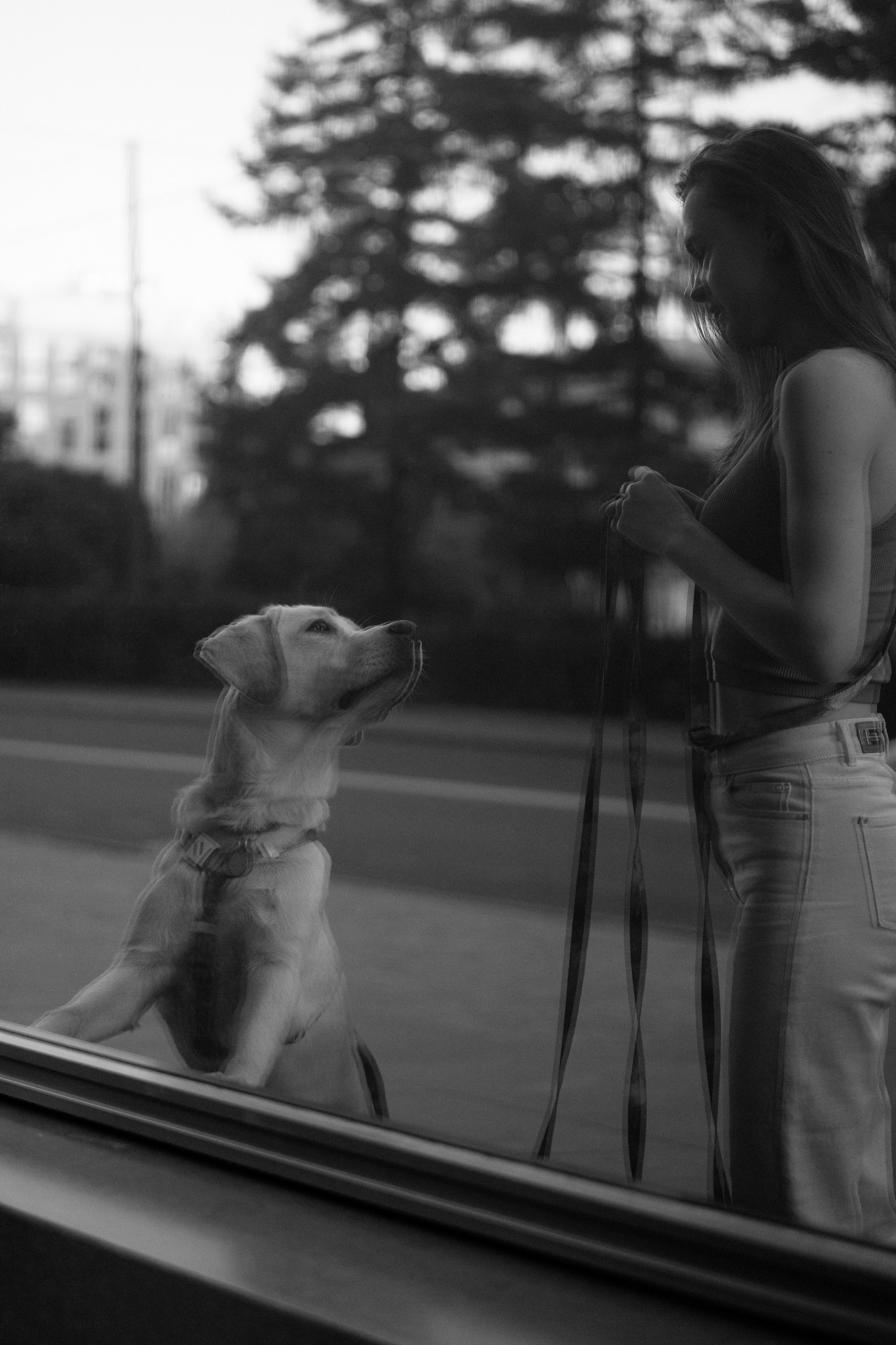 Наташа и Чарли. Фотограф анималист