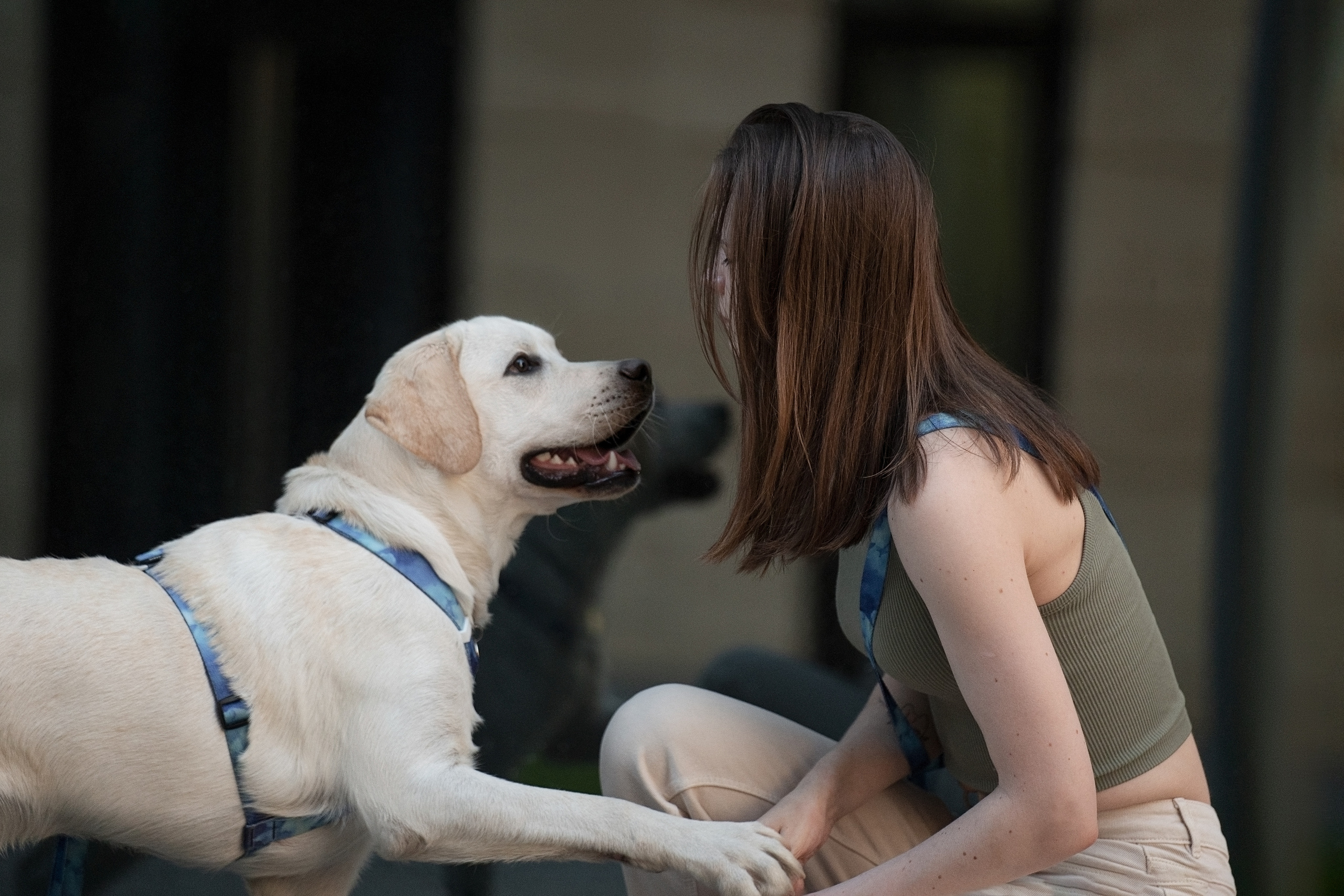Наташа и Чарли. Фотограф анималист