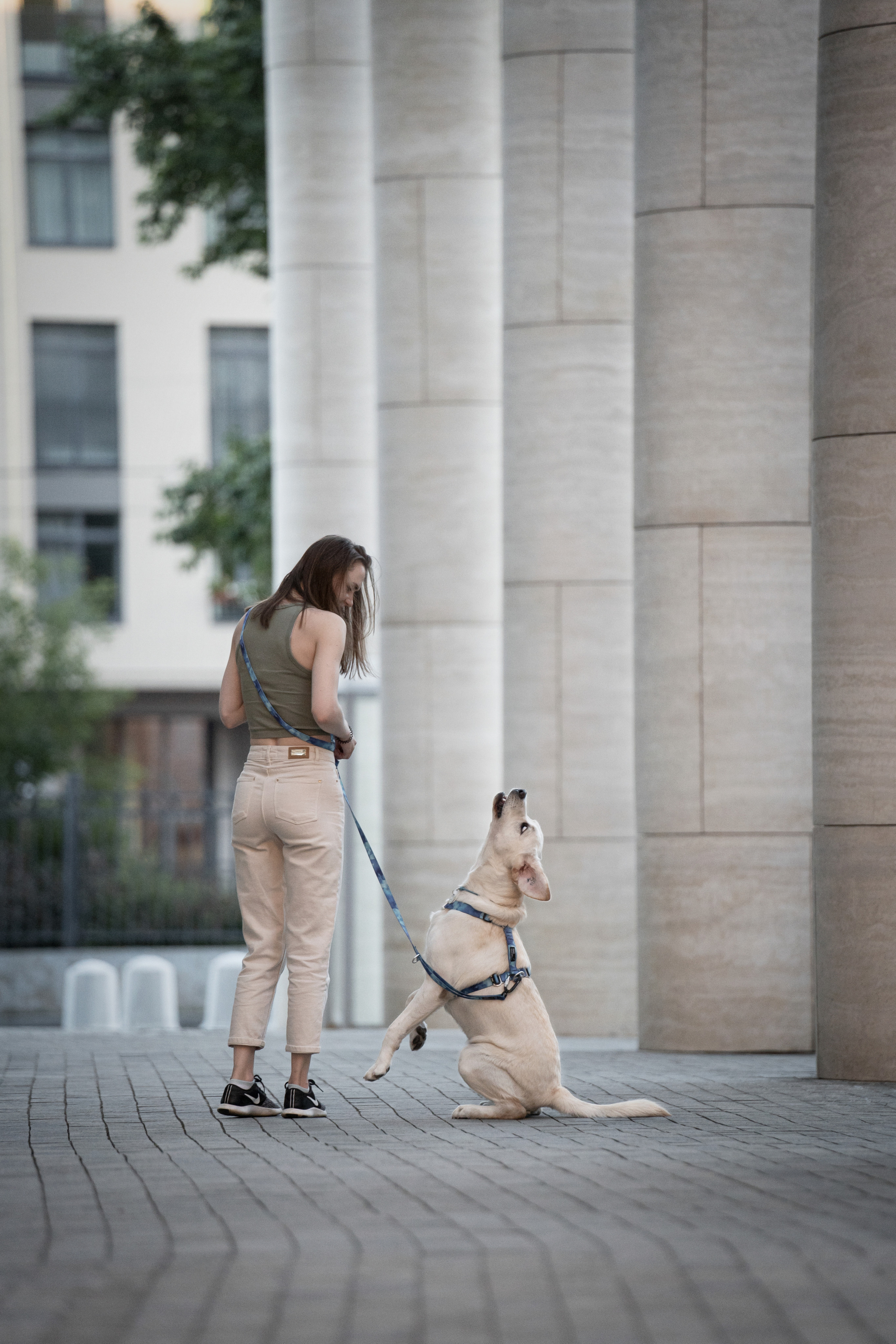 Наташа и Чарли. Фотограф анималист