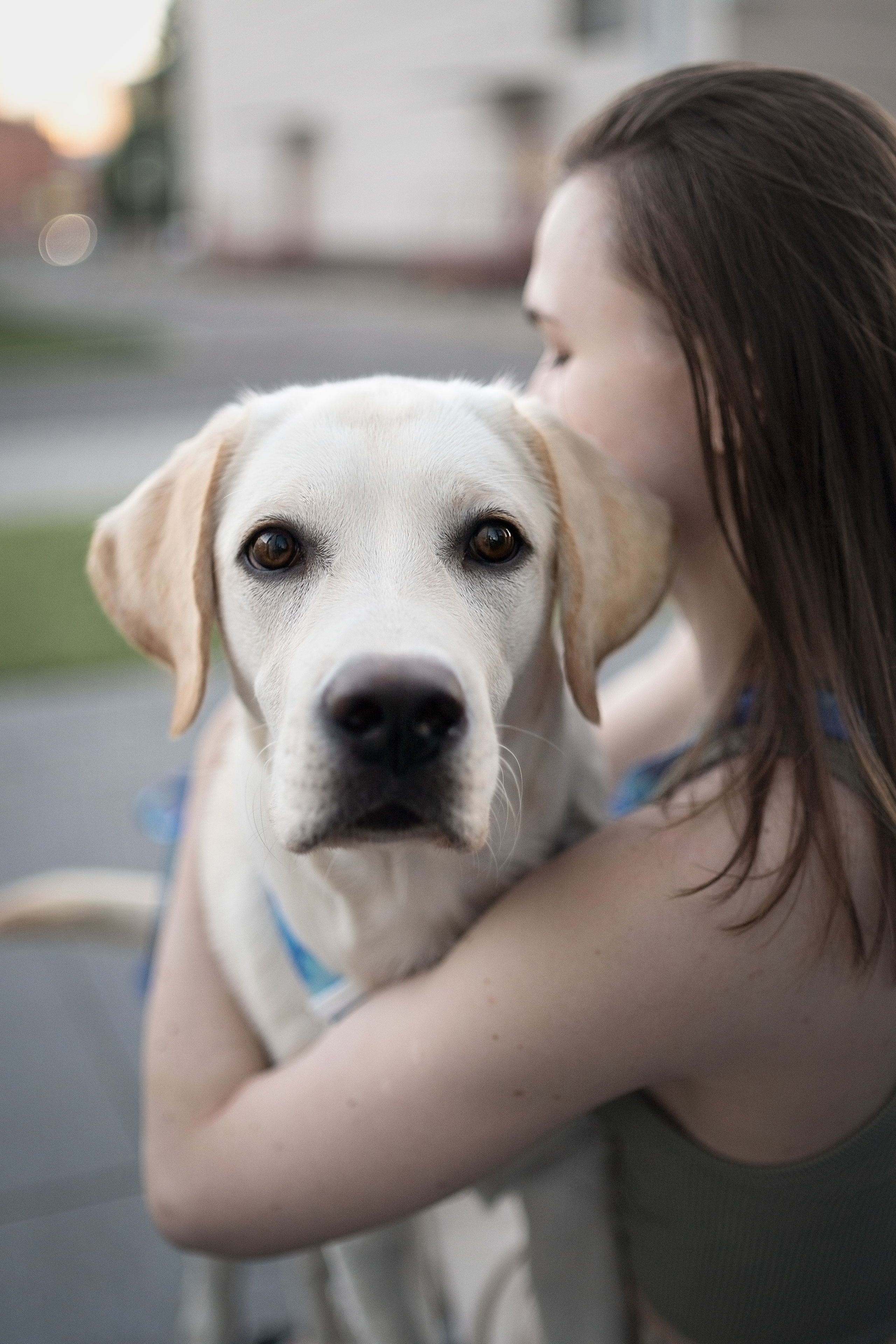 Наташа и Чарли. Фотограф анималист