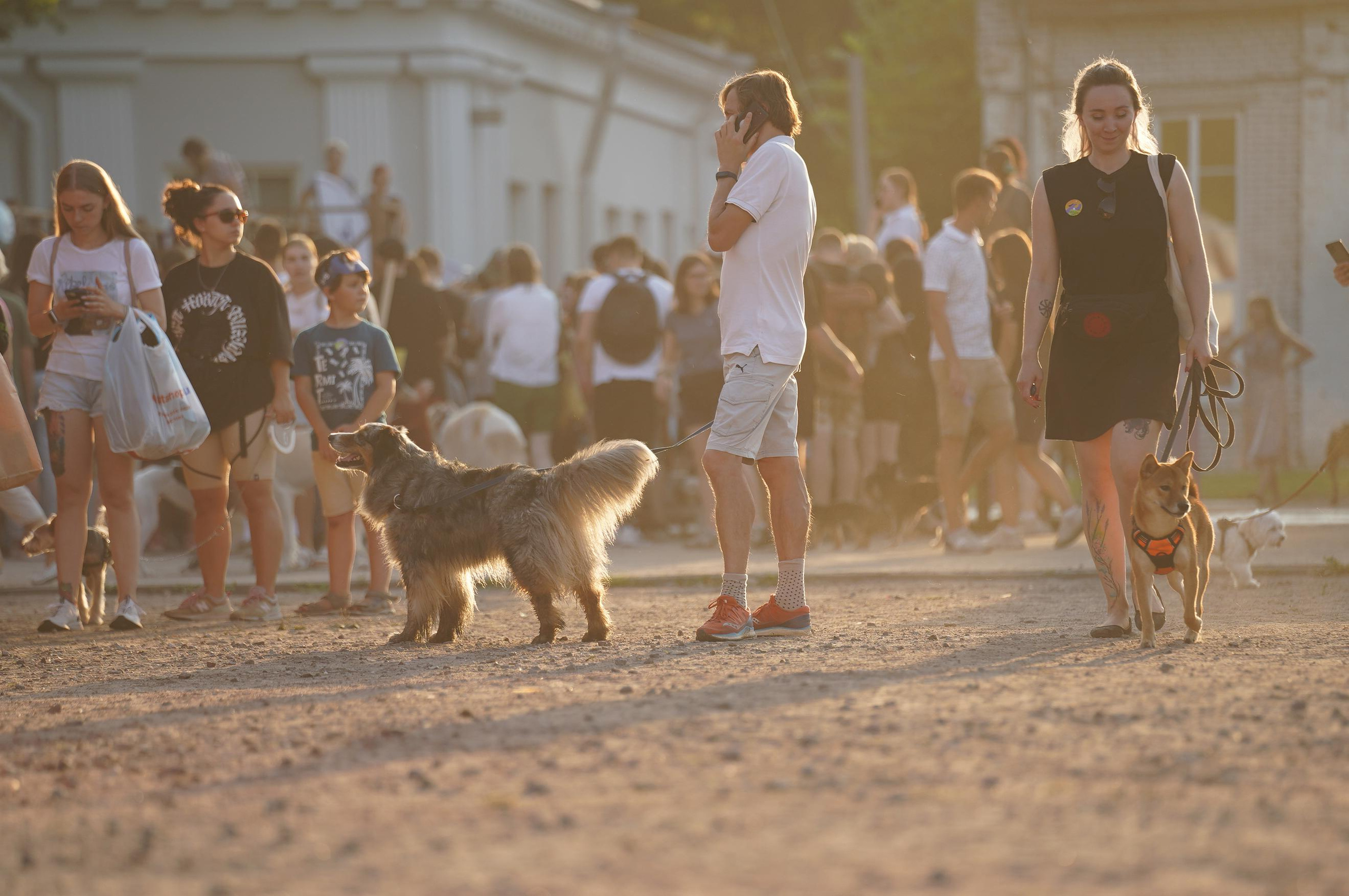 Петшопдей. Фотограф анималист