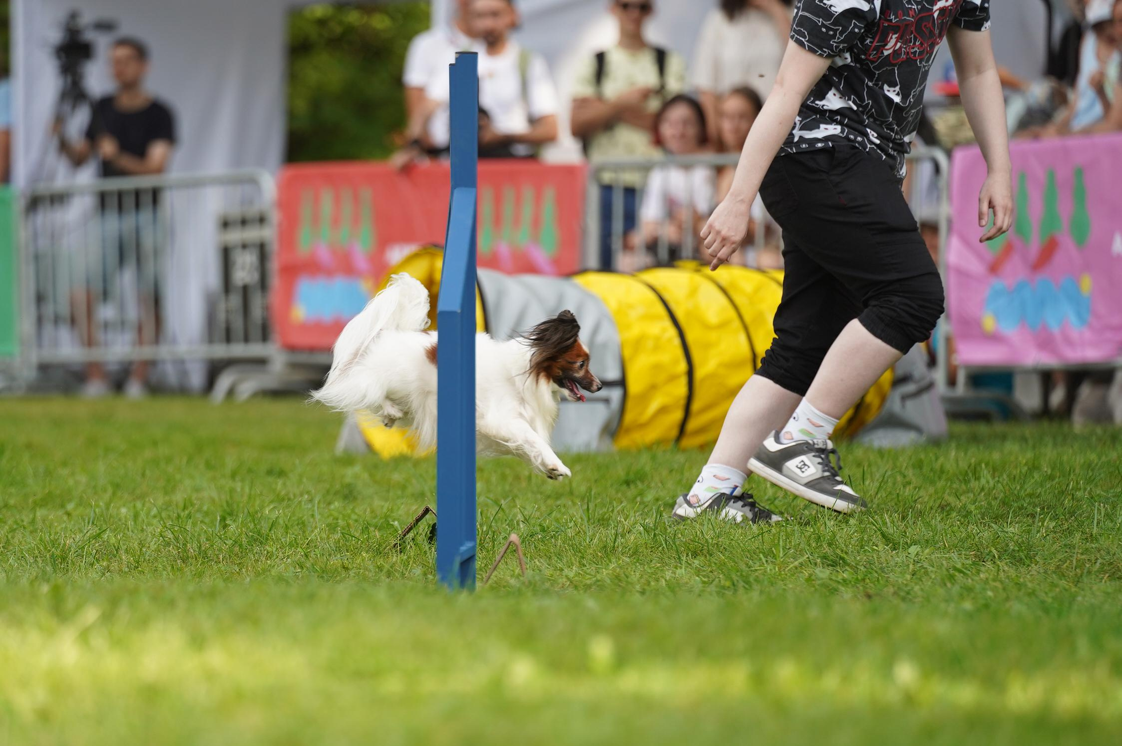 Петшопдей. Фотограф анималист