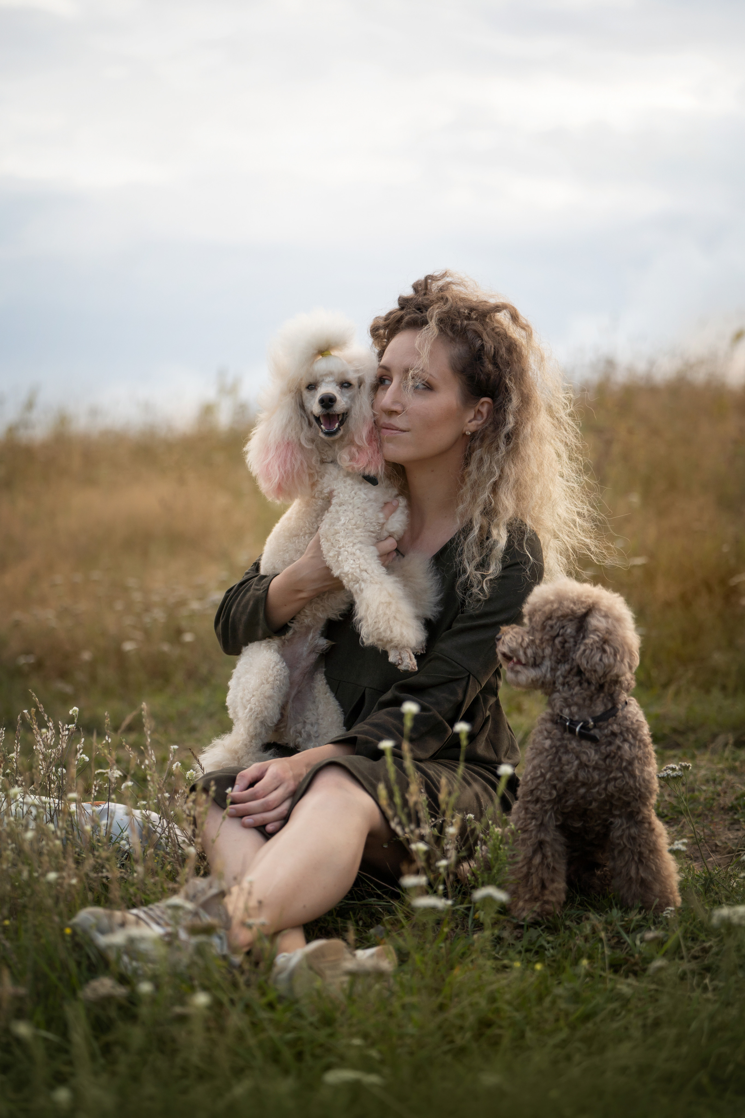 Кудрявая семья. Фотограф анималист