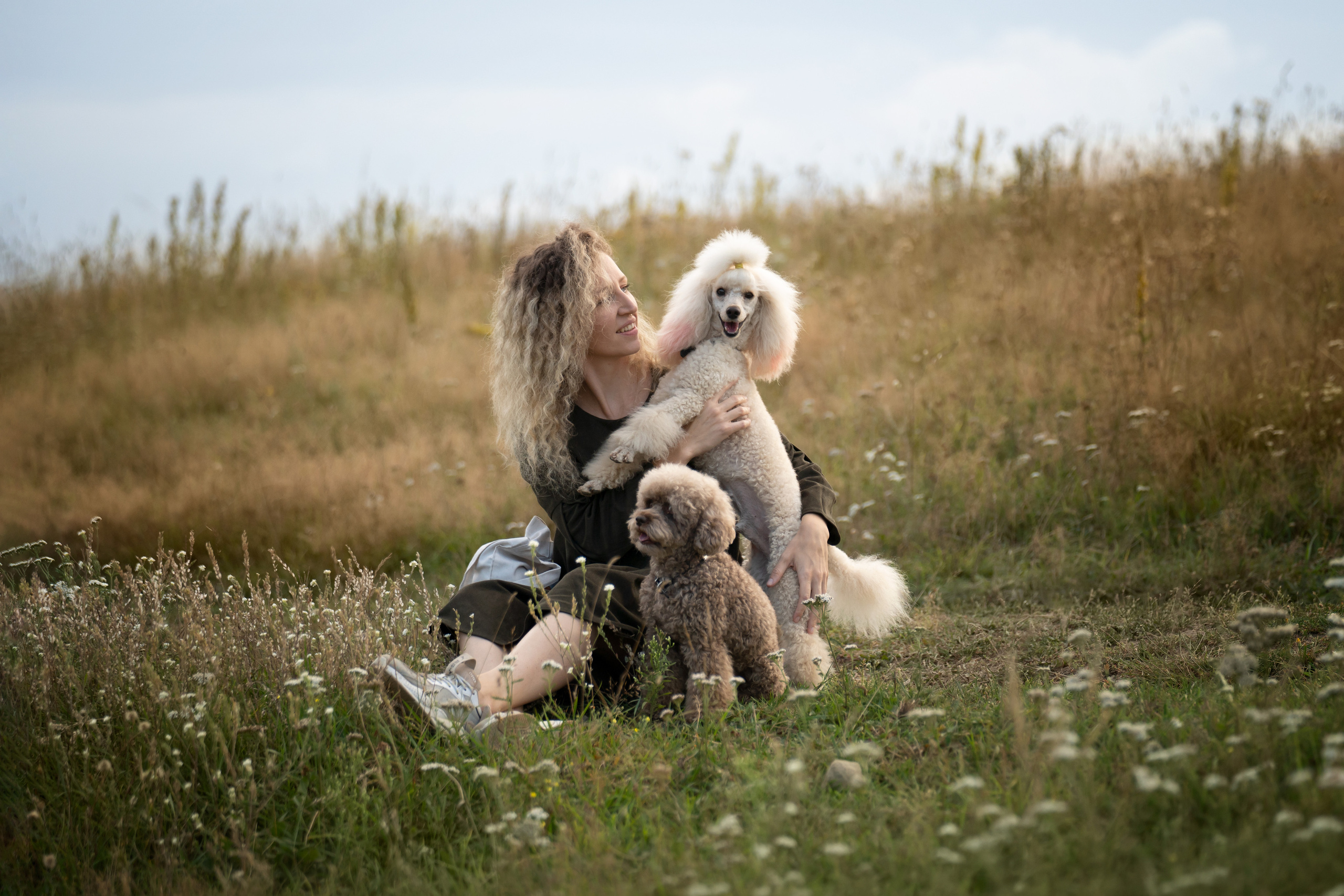 Кудрявая семья. Фотограф анималист