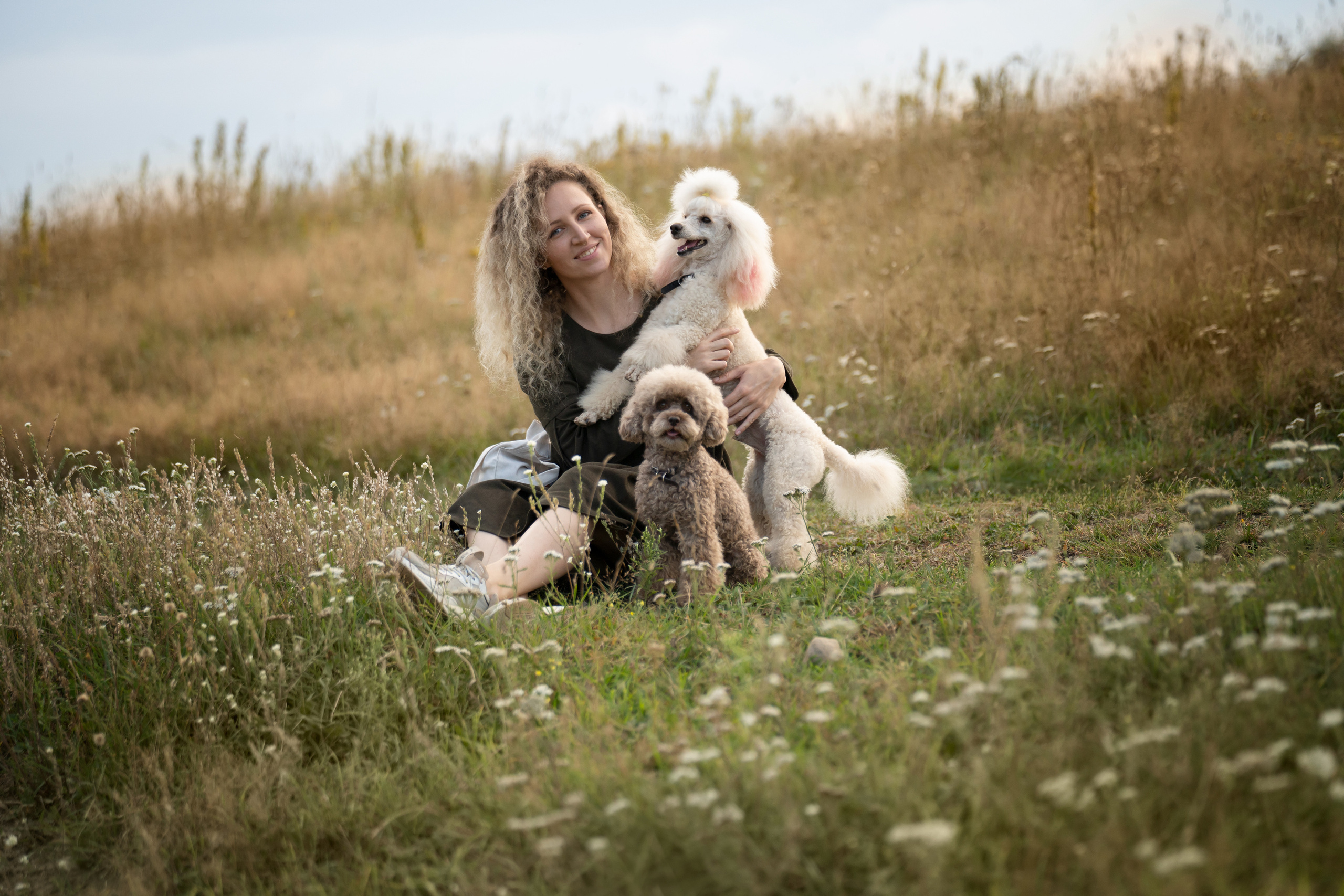 Кудрявая семья. Фотограф анималист