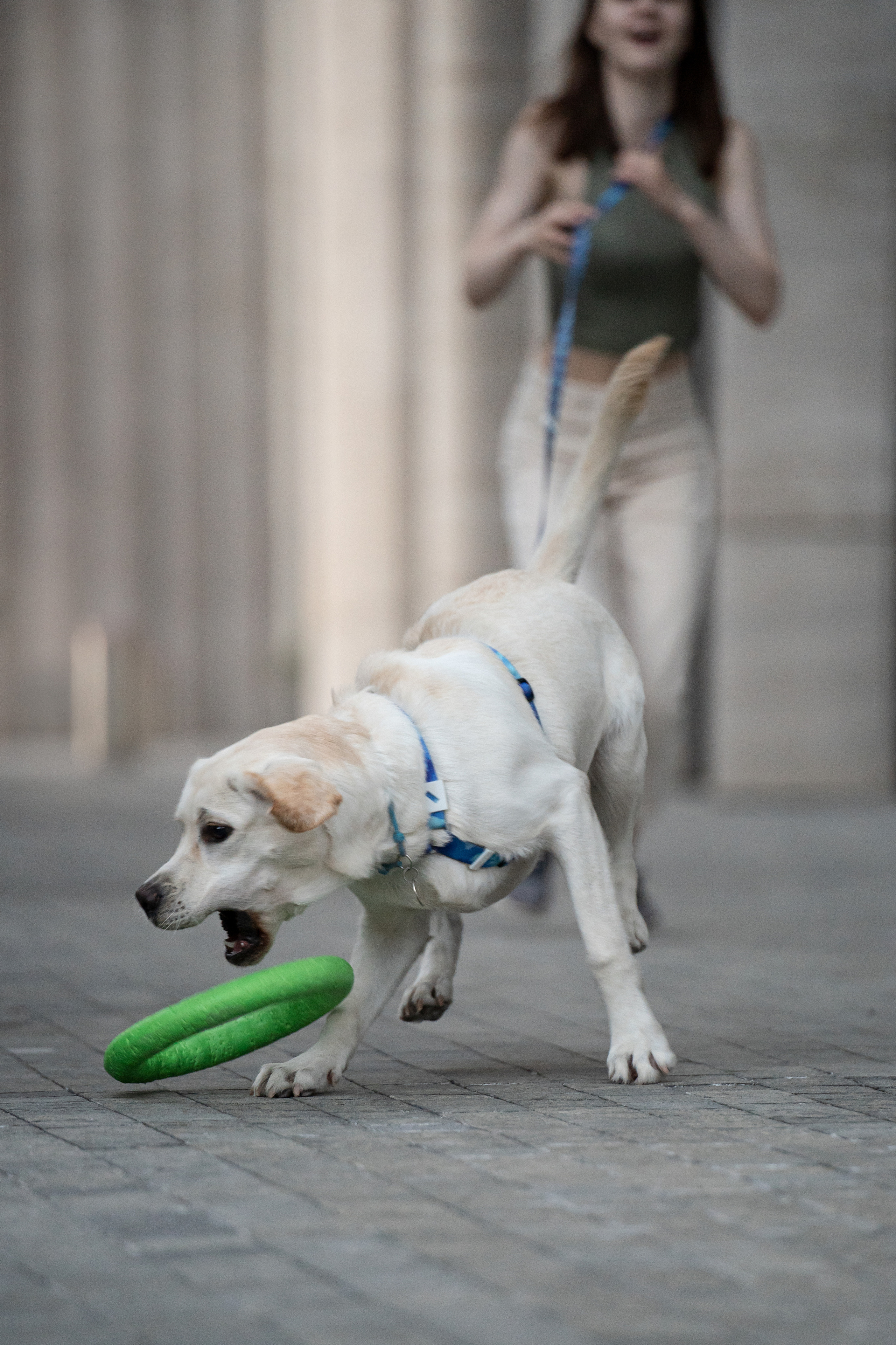 Наташа и Чарли. Фотограф анималист