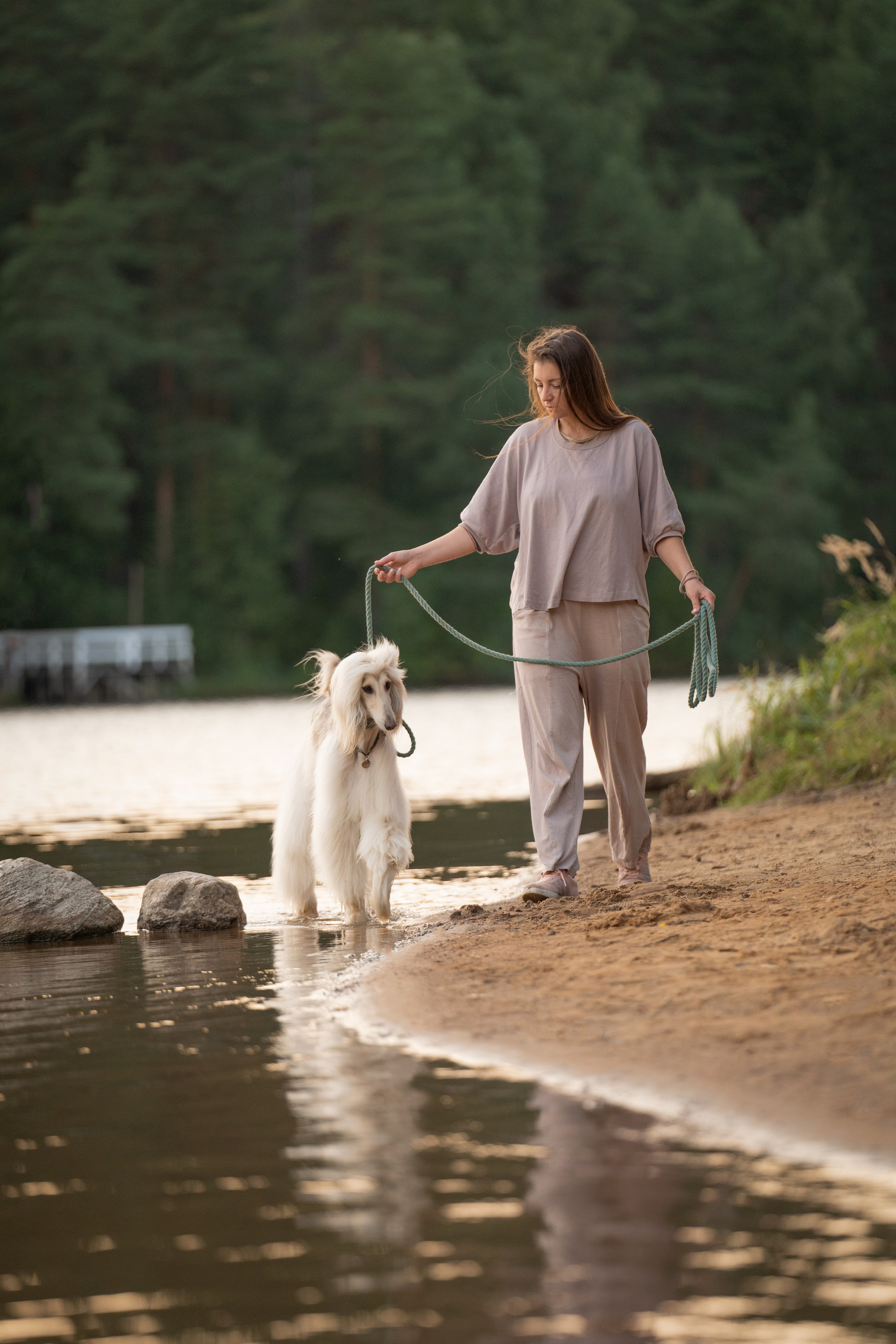 Путь к лесу. Фотограф анималист