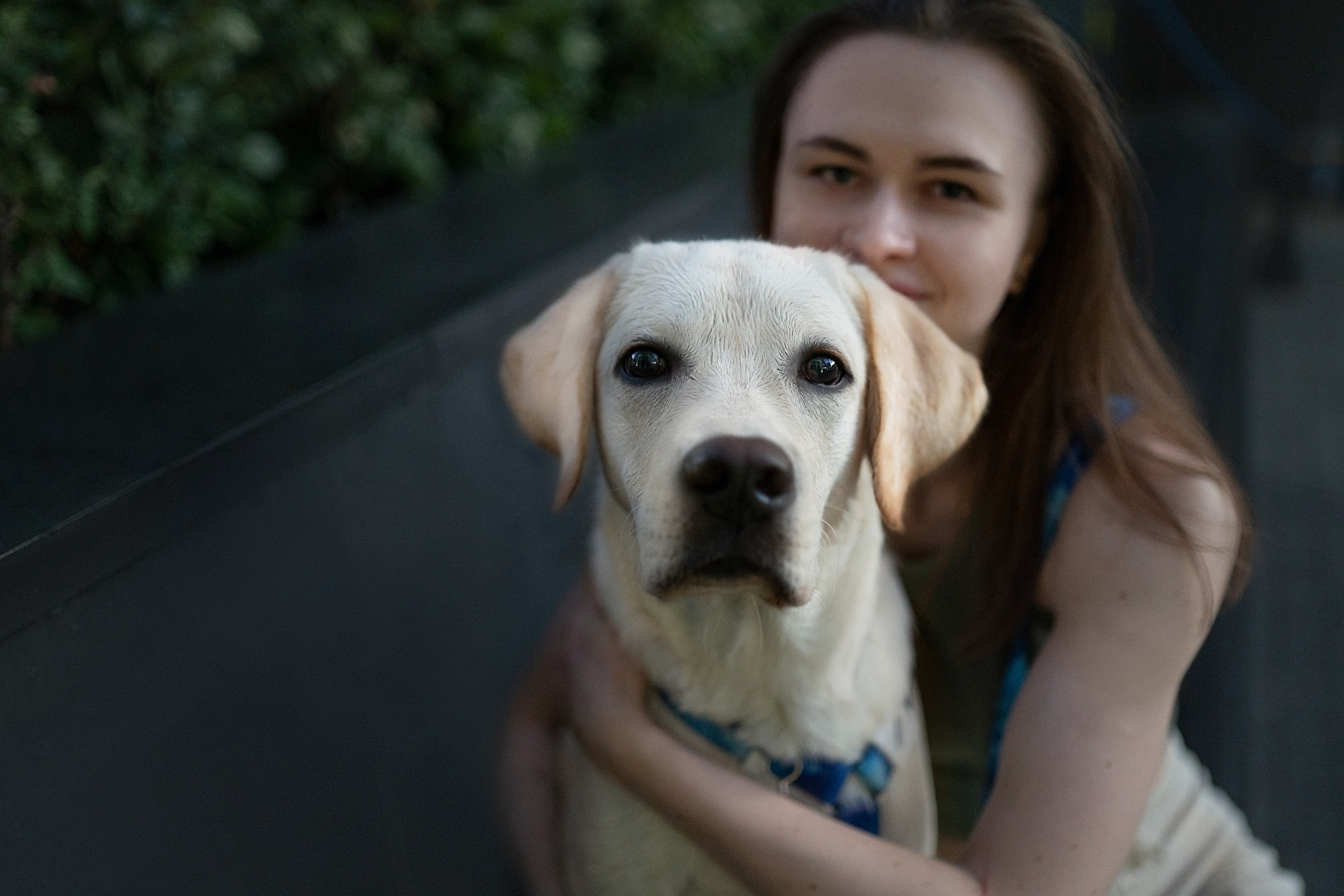 Наташа и Чарли. Фотограф анималист