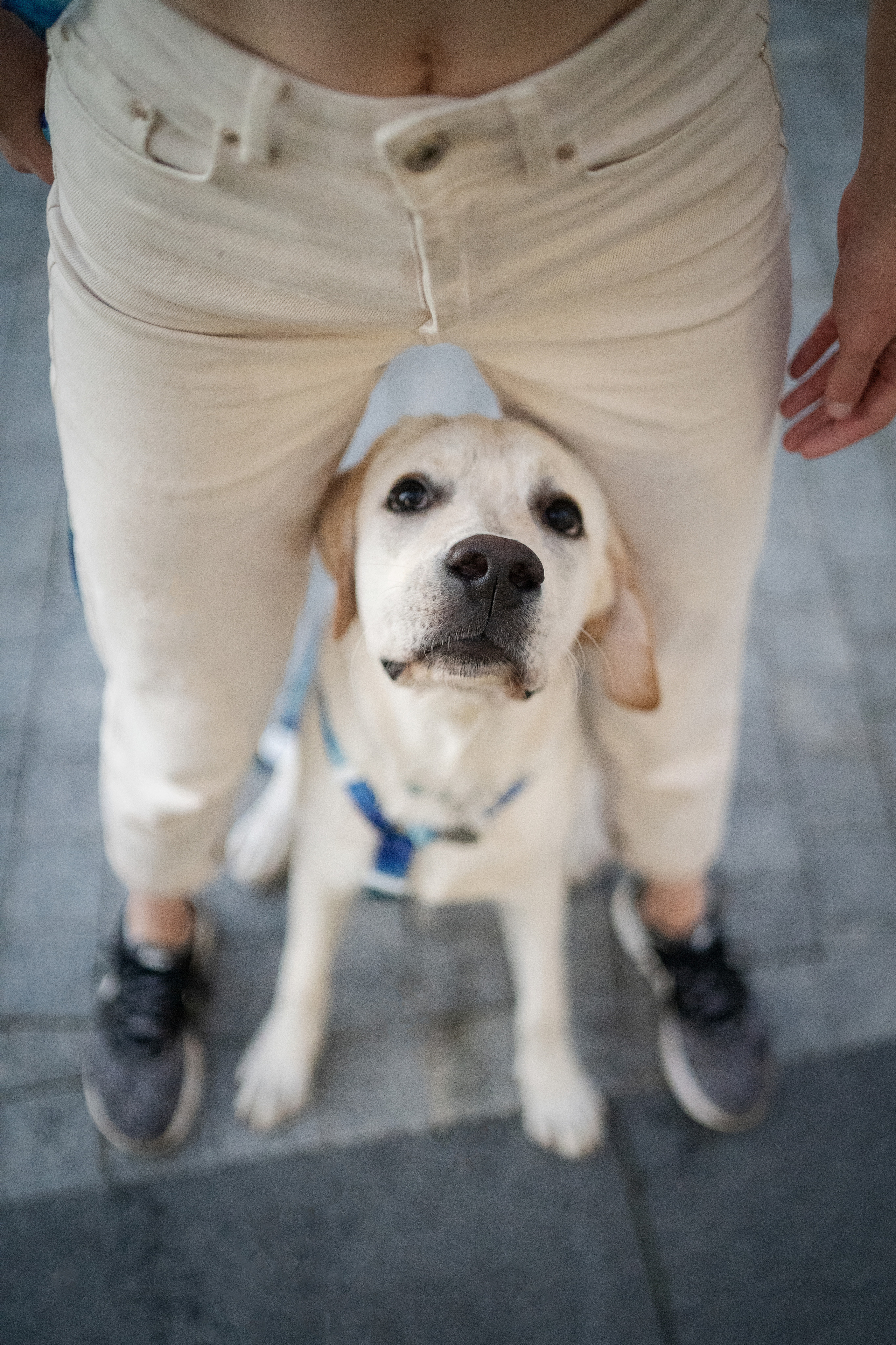 Наташа и Чарли. Фотограф анималист