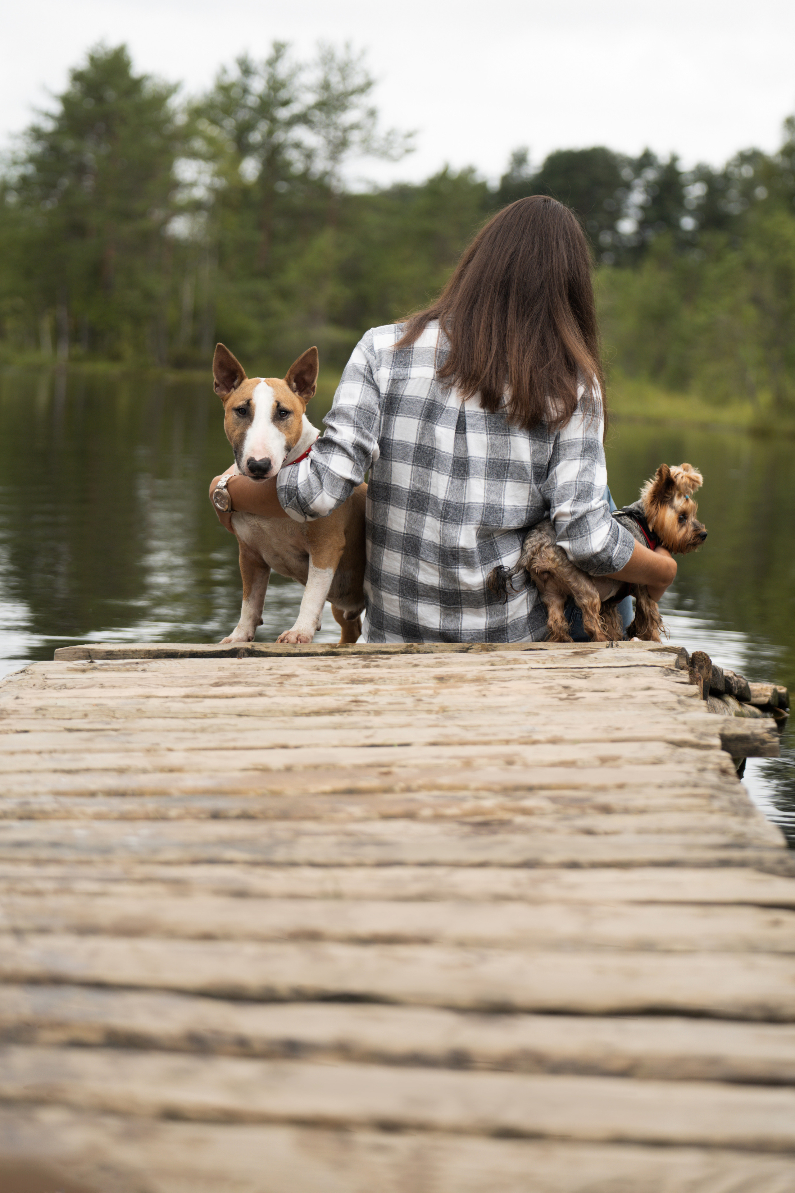Яна и Юни. Фотограф анималист