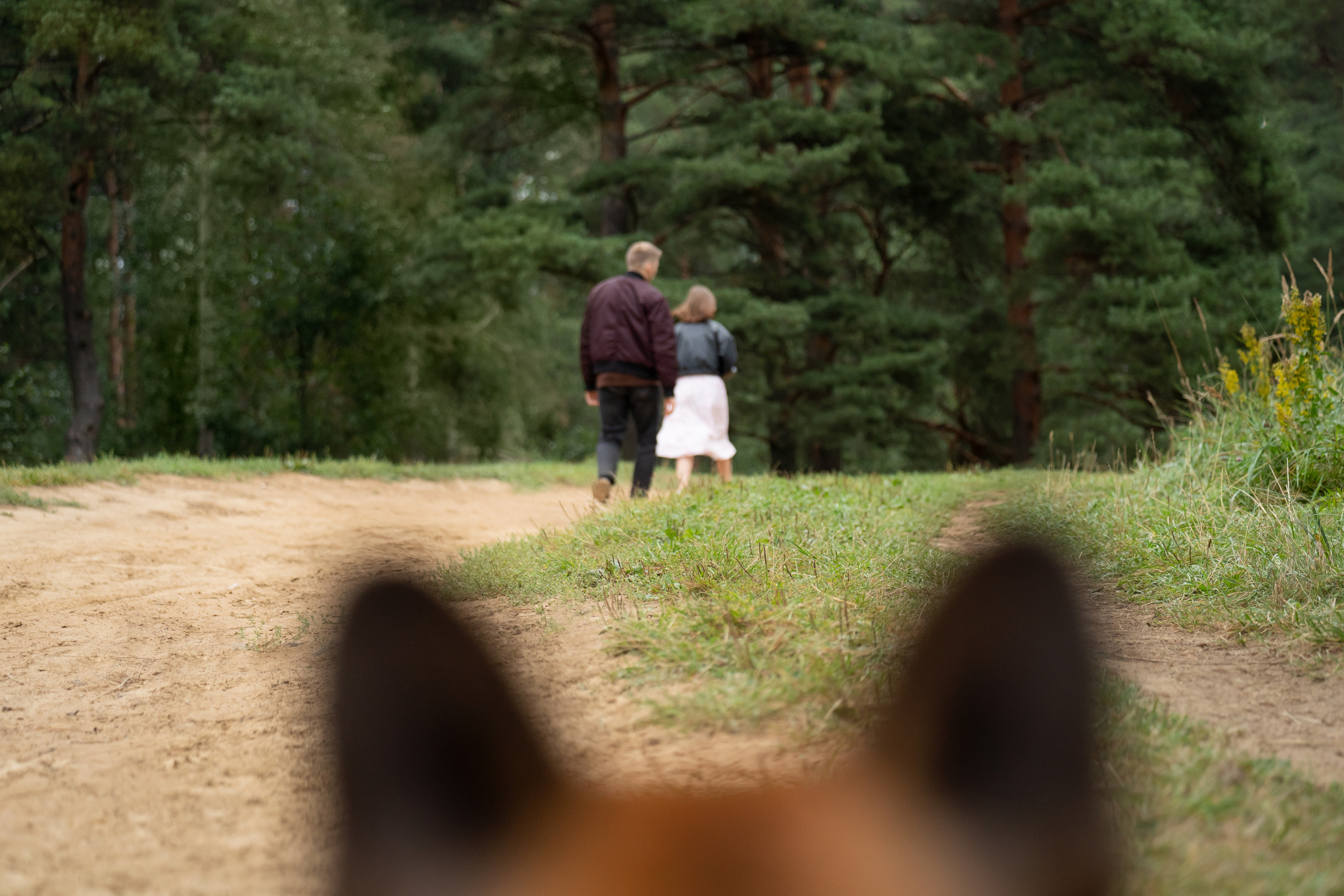 Катя, Антон, Марс и Юта. Фотограф анималист